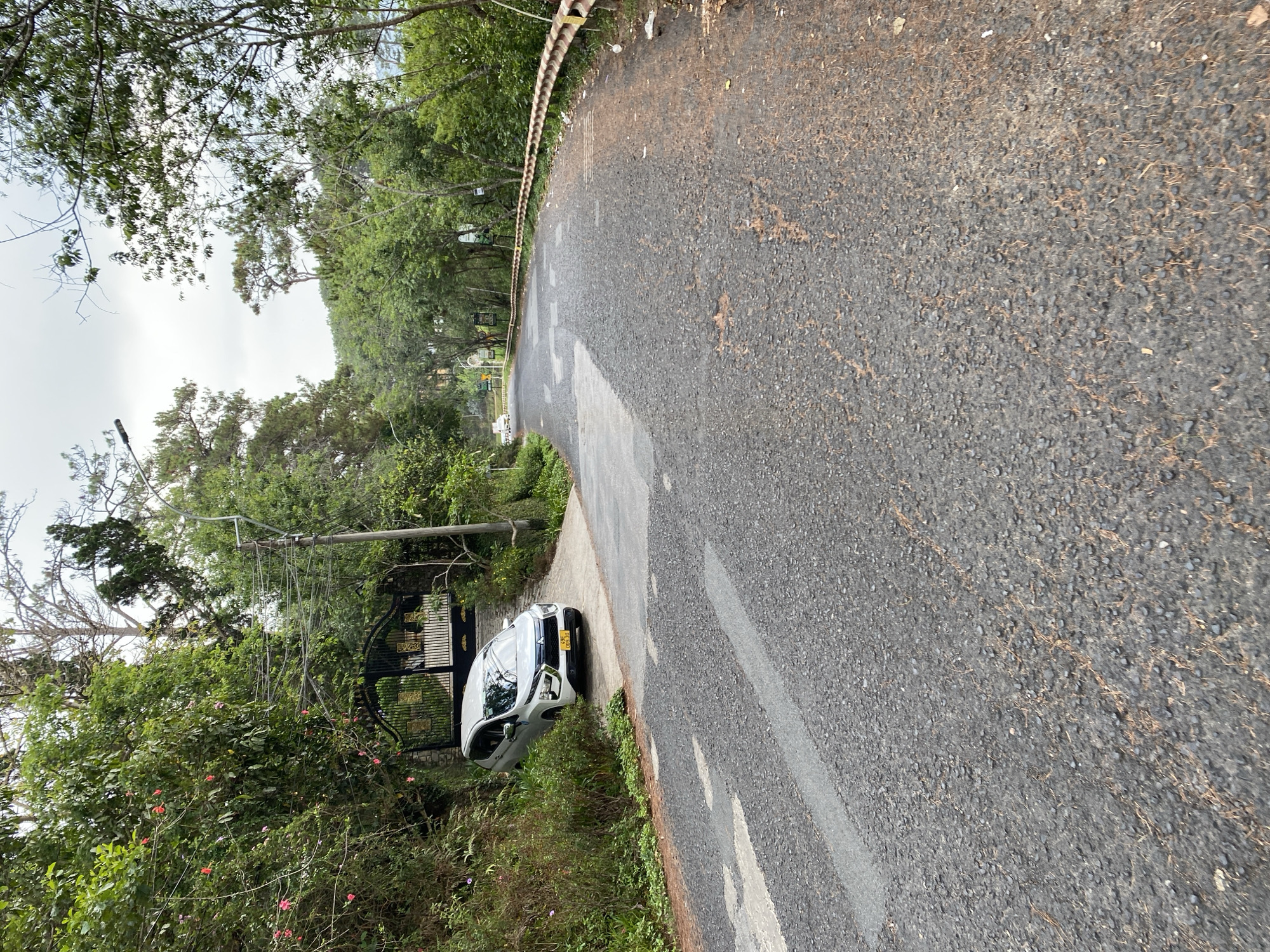 A slightly tilted, wide-angle shot shows a road in what appears to be a residential or wooded area. The asphalt road is a dark gray color and has a white dividing line along the left side. To the left of the road, there is a white car parked partially on a concrete slab near a gate, which leads to a property obscured by greenery. Overhead power lines are visible near the gate. Along the right side of the road, there is a metal safety barrier. Trees and other vegetation surround the area. The weather is overcast, and the scene appears to be in a relatively quiet, possibly rural, part of Da Lat, Vietnam. The license plate of the white car reads "45K-055.70".