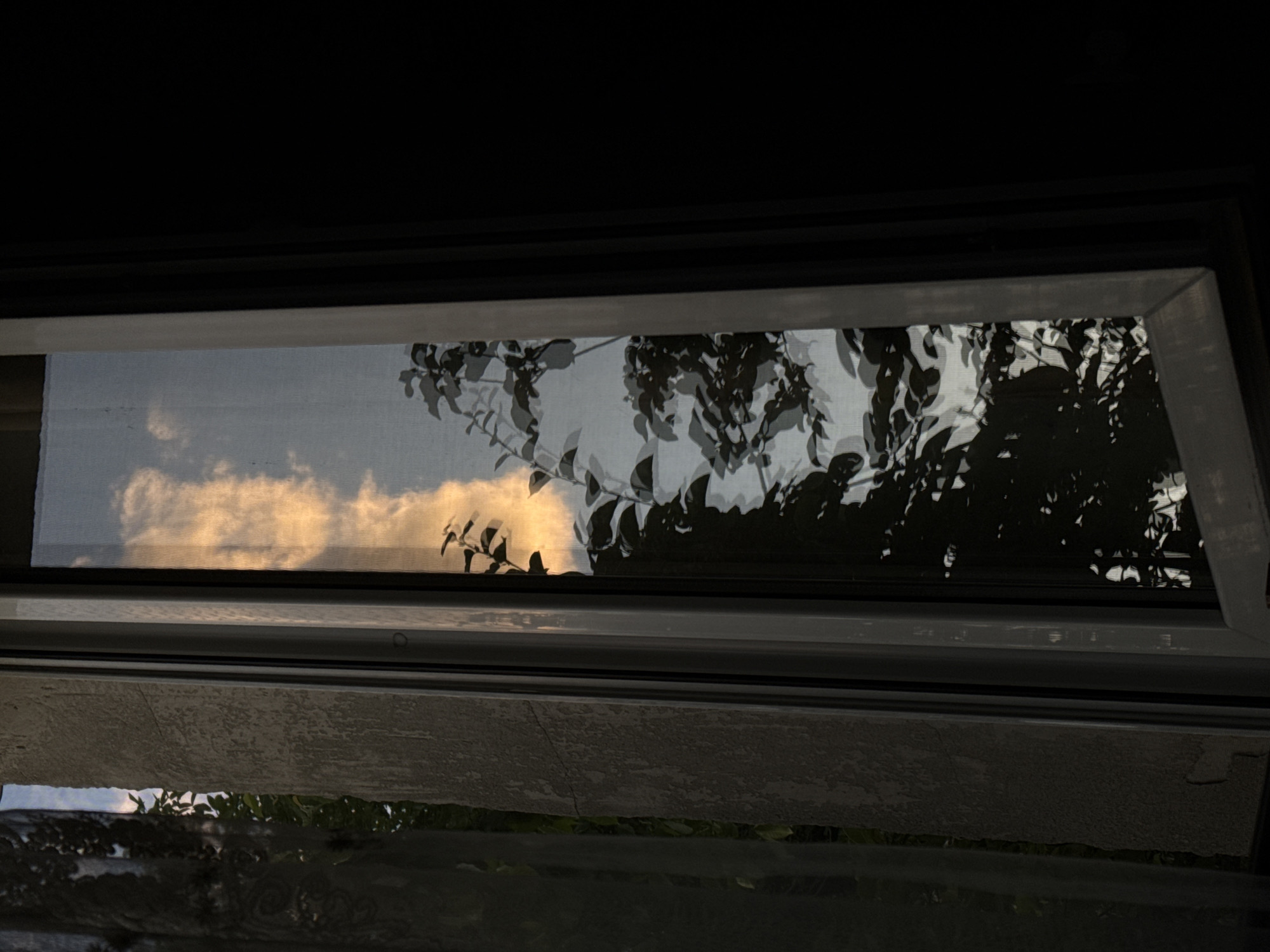 The image captures an upward view through a window, possibly a skylight, showcasing a blend of natural elements and structural details. The dominant feature is the sky, which is a pale blue-gray, visible through the main window pane. On the left side of the window, a large, fluffy cloud formation is illuminated by a warm, golden light, strongly suggesting either sunrise or sunset. To the right, numerous dark tree branches and leaves are sharply silhouetted against the bright sky, creating a stark contrast. The branches extend across much of the right half of the window opening.
The window itself has a visible frame, appearing light gray or silver. Below the main window pane, there is a textured, light gray surface, possibly concrete or stucco, forming what might be an interior sill or part of a building's structure. Further down, at the very bottom of the image, dark, indistinct reflections are visible, possibly from another glass surface or a dark interior element. The overall lighting is dramatic, with the bright, warm-toned cloud contrasting with the dark silhouettes of the tree and the deep shadows of the interior elements. No people or visible text are present in the image.