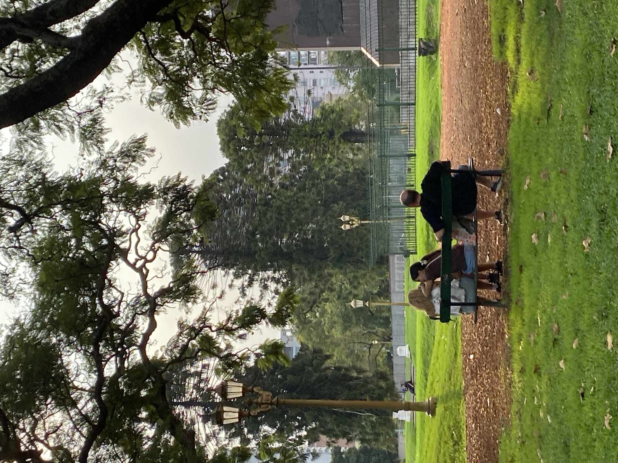 A park in Buenos Aires, Argentina, features a path of reddish-brown mulch bordering a grassy area. Three people, possibly a family, are seated on a green park bench along the path. The individual on the left wears a white top and gray pants. The middle figure is dressed in brown with blue shorts. The person on the right wears a black top. Above them, an iron fence divides the park from a cityscape. A few lampposts are visible along the path. A large tree with intertwining branches dominates the left foreground, obscuring the sky.