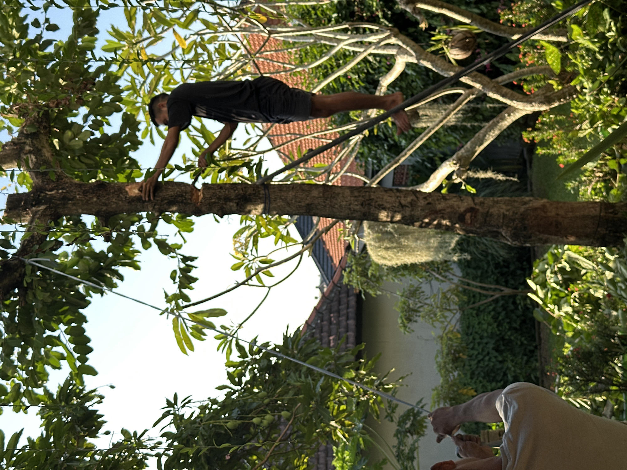 An outdoor photograph taken in North Kuta, Indonesia, shows a dark-skinned male wearing a black t-shirt and shorts performing a plank on a tree trunk that sits horizontally in the center of the frame. The man is barefoot. His left hand grips the tree trunk while his right hand extends toward the right side of the frame, where he's balanced on a tightrope wire. The wire extends from the tree, angling upward and right. The background is composed of lush greenery, a tiled roof, and a partial view of a person wearing a white shirt standing near the bottom of the frame. The sky is visible through the leaves. The image is oriented so that what would normally be the bottom of the frame is on the left.