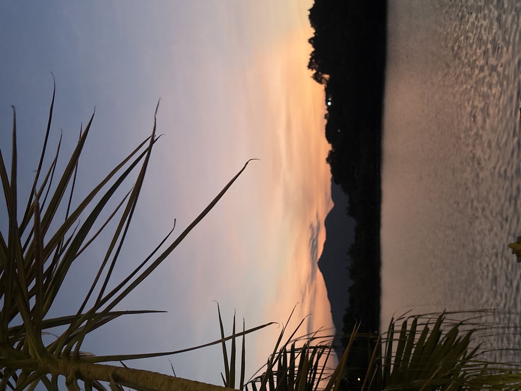 A serene landscape is depicted at twilight. In the foreground, the fronds of a palm tree hang down from the left, partially obscuring the view. Beyond the palm tree, a body of water stretches across the frame, reflecting the soft hues of the sky. In the mid-ground, a dark, silhouetted treeline borders the water, with a mountain range visible in the distance, its peaks softened by the fading light. The sky above transitions from a deep blue at the top to warm shades of orange and pink near the horizon, indicating the sunset. The overall impression is one of tranquility and natural beauty. The location is Unknown, Unknown.