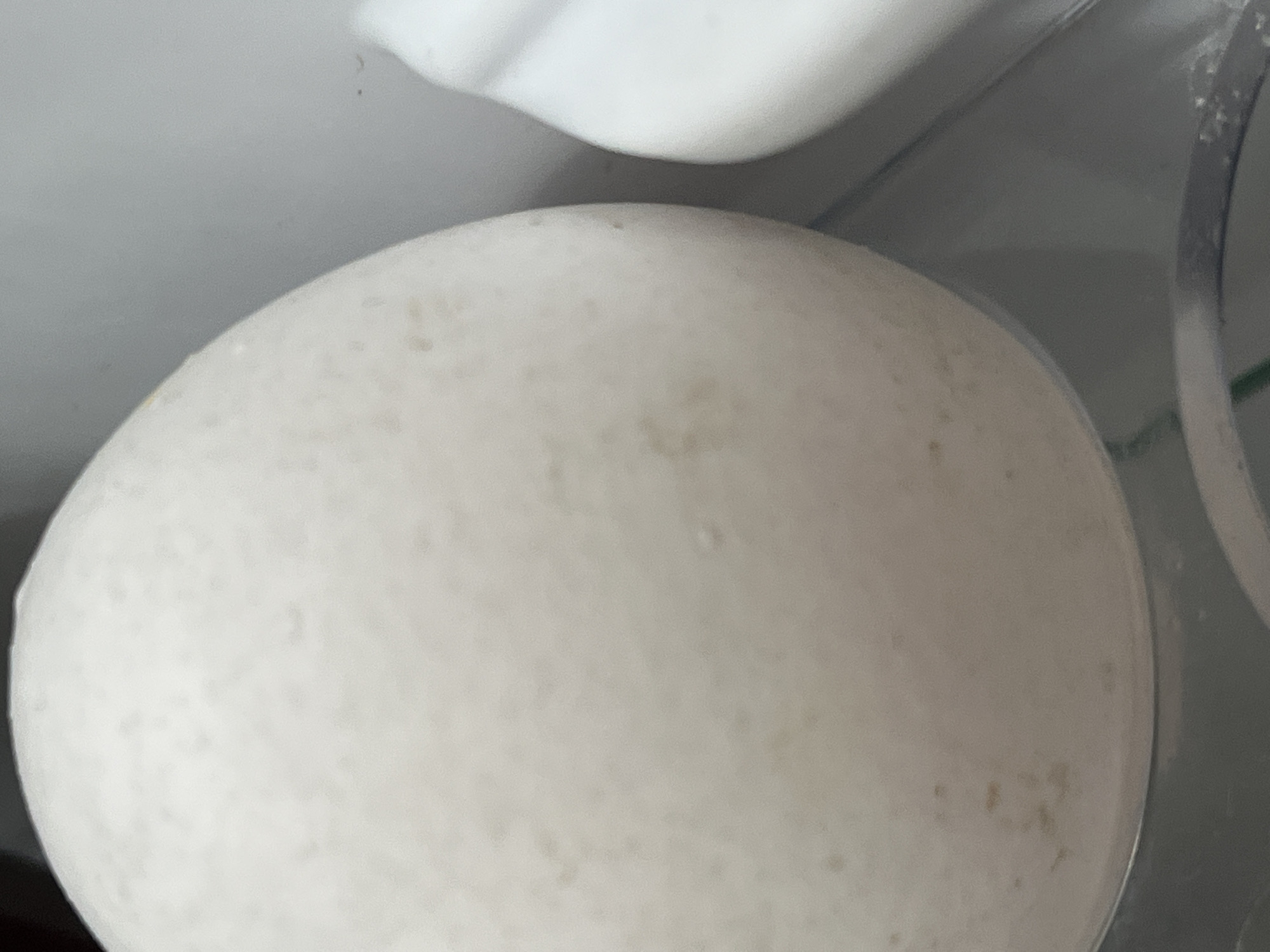 A close-up, slightly blurry photograph shows a large, pale, oval-shaped object, likely an egg, positioned to the left. The surface of the object is textured with small, irregular brownish spots. To the right of the object, a portion of a white, curved structure is visible. The background is muted gray and white. The scene is indoors, possibly in a refrigerator or on a countertop. There are no people or specific landmarks visible that would indicate a location in Il'ino, Russia.