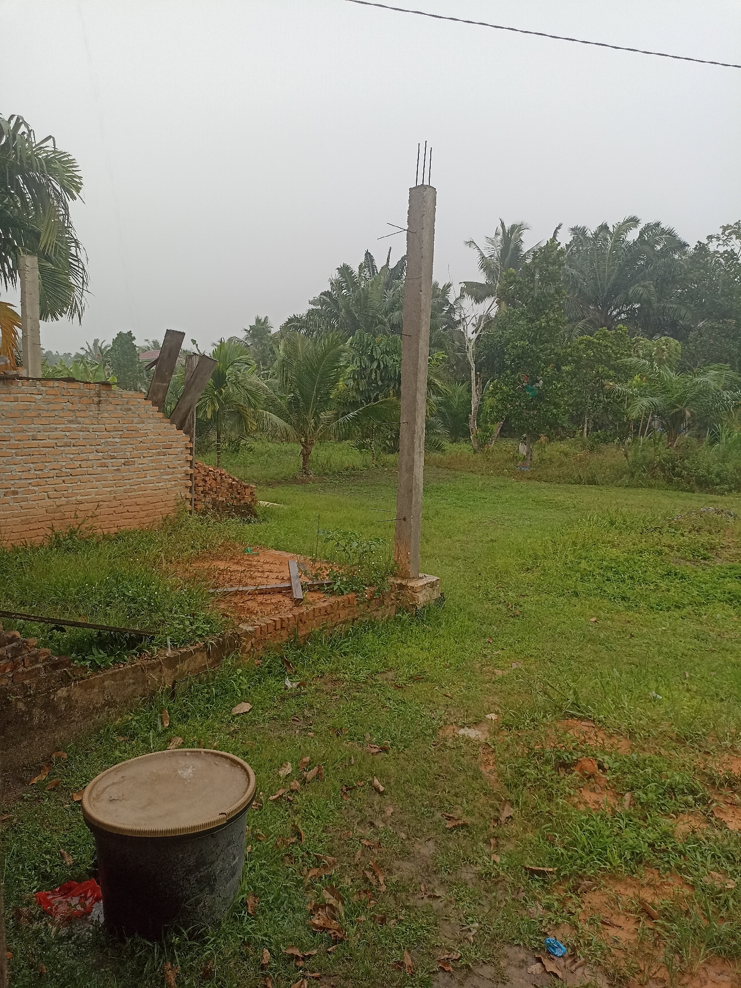 The image depicts an outdoor scene in Benteng Hulu, Indonesia, under an overcast sky, possibly indicating rain. In the foreground, a large, dark-colored plastic bucket with a ribbed rim is situated on a patch of green grass. Next to the bucket, to its left, is a crumpled red plastic bag. The ground in the immediate foreground is muddy and covered with scattered dry leaves.
To the left of the bucket, a partially constructed brick wall of orange bricks is visible. The wall is incomplete and shows signs of disrepair. Behind this wall, more bricks are stacked. Beyond the wall, lush green vegetation, including palm trees and other tropical foliage, dominates the landscape.
In the center of the image, a tall, concrete post stands erect. It is weathered and has exposed rebar protruding from its top. The post is anchored to a small, concrete base at ground level.
The background consists of a dense arrangement of various trees and plants, suggesting a rural or semi-rural setting. The overall impression is one of an unfinished construction project or an abandoned site amidst a natural, tropical environment. The lighting is diffuse, consistent with a cloudy or rainy day. There are no people or animals clearly visible in the image.