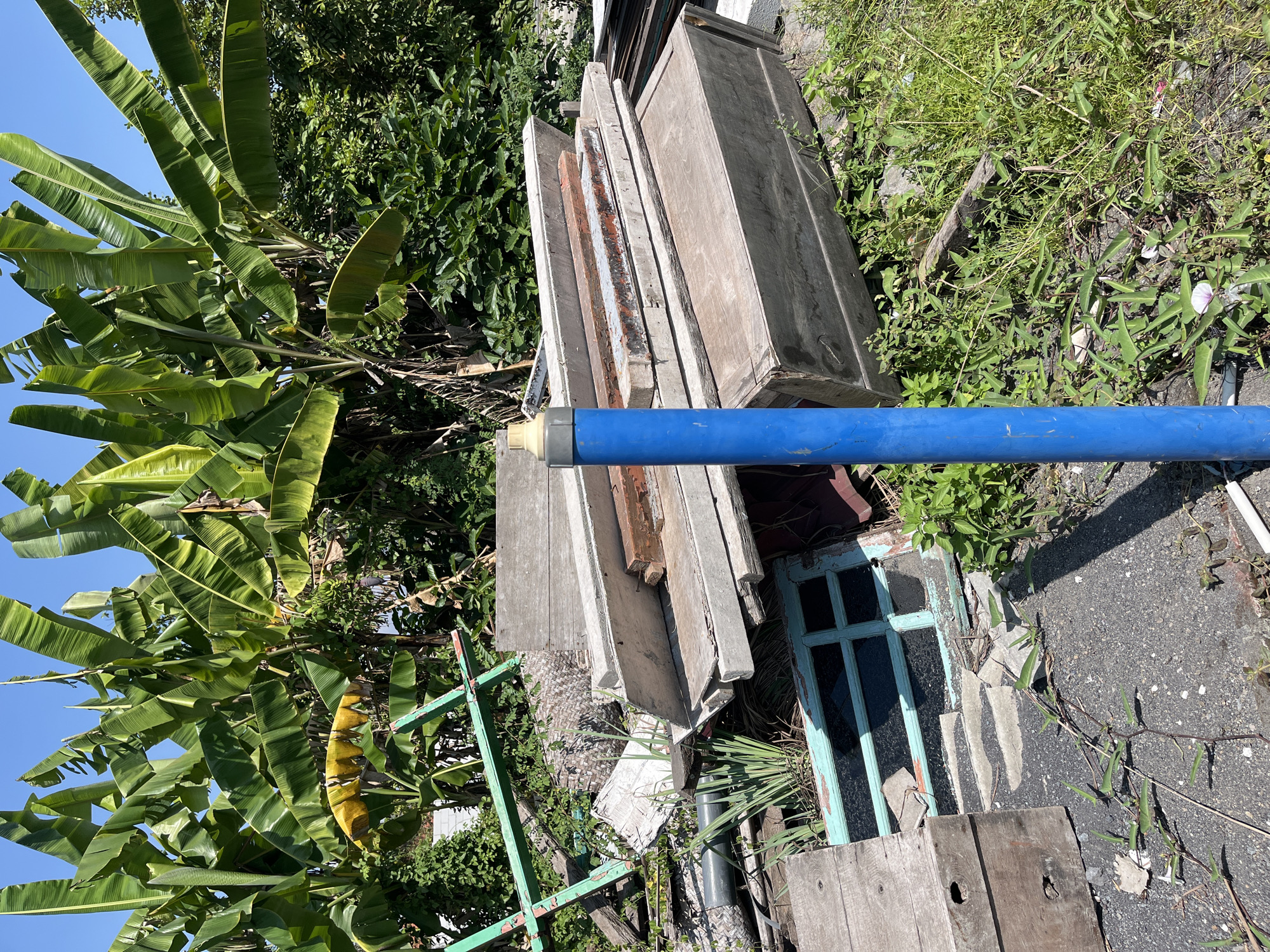 The image depicts an outdoor scene in Pesawahan, Indonesia, with a clear blue sky. In the foreground, a bright blue pipe stands vertically, topped with a yellow cap. To the left of the pipe, a weathered wooden box rests on dark gravel. Behind the pipe and to the right, a pile of assorted wooden planks and construction debris is stacked. These include long, flat pieces of wood, some appearing aged and worn, along with what looks like a grey wooden coffin-like structure at the bottom of the pile. Further back, to the left of the debris pile, lies a broken window frame with aqua-painted wood and multiple panes, some containing reflective dark material. Interspersed with the debris and extending into the background are lush green banana trees, their large leaves dominating the upper portion of the image. Denser foliage and smaller green plants cover the ground and surround the discarded materials, indicating an overgrown or unkempt area. A hint of a green metal structure, possibly part of a scaffolding or frame, is visible peeking through the leaves on the far left. The overall impression is one of a cluttered, possibly abandoned or storage area amidst a tropical environment.