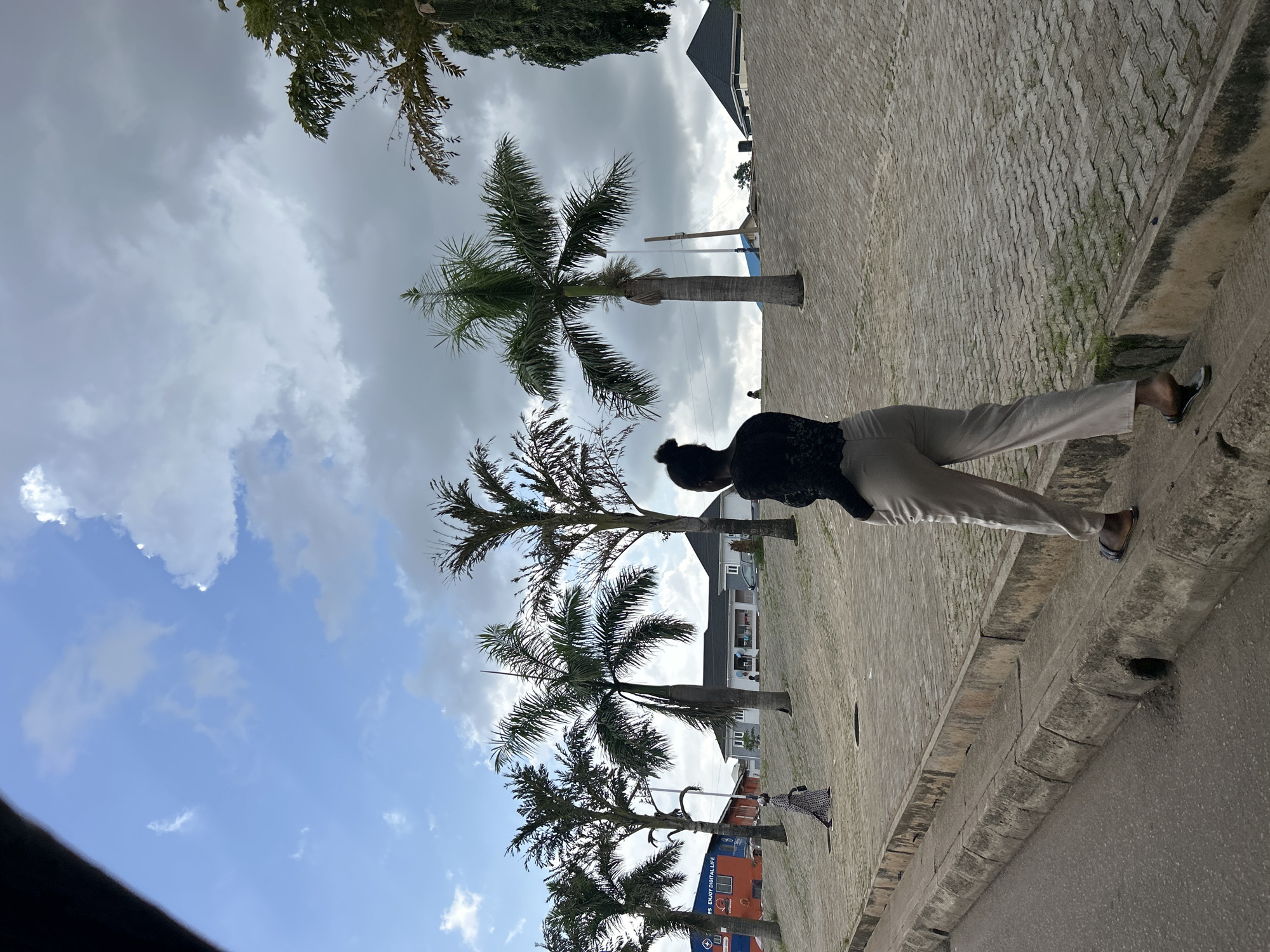 The image depicts a street scene in Jos, Nigeria. In the foreground, a woman with her back to the camera is walking on a paved surface next to a concrete drainage channel and a road. She is wearing a black lace top and light-colored pants. Behind her, several palm trees are visible, lining a slightly elevated area with paved ground. A woman in a patterned dress walks in the middle ground on the paved area. In the background, there are buildings, including one with an orange and blue facade displaying text, and a residential-looking structure with a dark roof. The sky above is partly cloudy with blue sky visible.