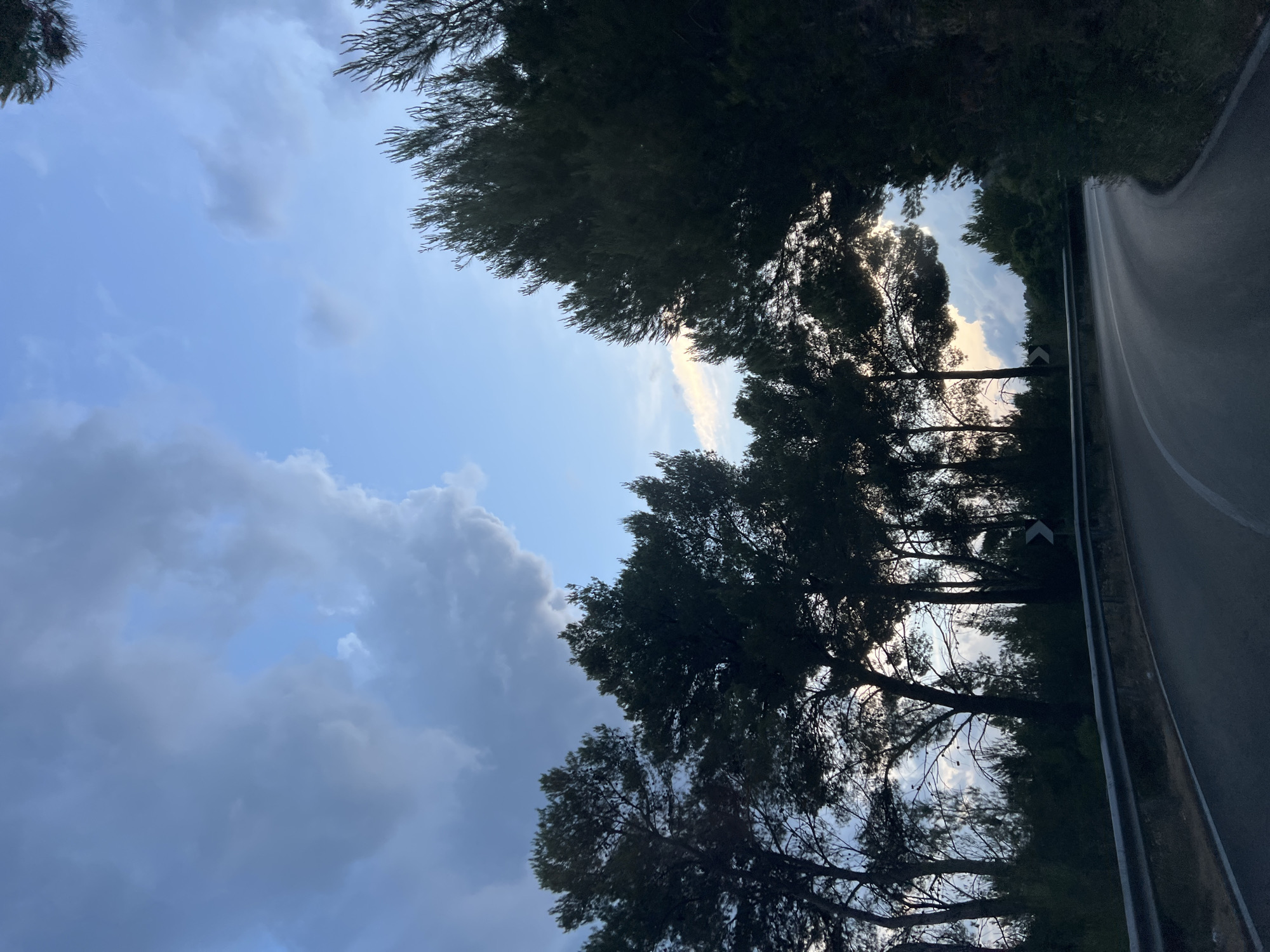 The image shows a road curving through a wooded area, likely in Mattinata, Italy, as suggested by the presence of pine trees which are common in the region. The sky is a mix of blue with dramatic, dark clouds, suggesting an approaching storm or twilight. A metal guardrail runs along the side of the road, and a directional arrow sign is visible on the right. The trees are silhouetted against the sky, with some light filtering through the branches in the distance. No people or animals are visible in the scene.