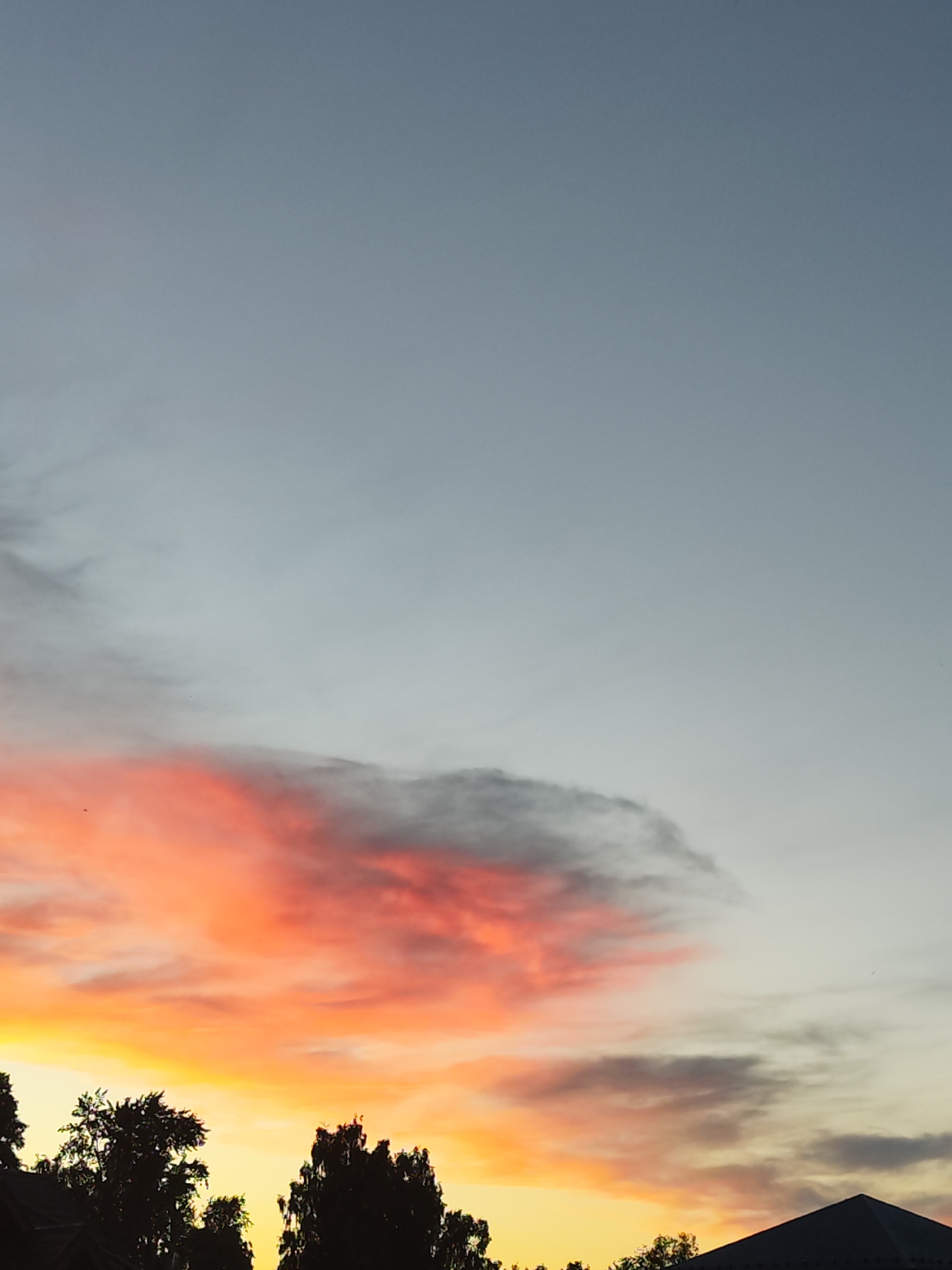 The image presents a striking sunset sky over Chaikovsky, Russia. The upper half of the frame is dominated by a serene expanse of clear, light grey-blue sky, indicating the natural progression from day to evening.
In the middle and lower sections of the sky, a dramatic and colorful sunset unfolds. A prominent cloud formation glows with intense hues of fiery red, vibrant orange, and bright yellow, suggesting the sun has recently set or is just below the horizon. These richly colored clouds are interspersed with and bordered by softer, darker grey cloud masses, creating a beautiful interplay of light and shadow across the sky. Several tiny, dark specks, possibly birds, are faintly visible against the illuminated clouds.
Along the very bottom edge of the image, the dark silhouettes of treetops are visible, belonging to what appear to be deciduous trees. To the right, a portion of a dark, angular rooftop, likely from a residential building, is silhouetted against the bright evening sky. There are no people or discernible activities taking place. The scene captures a tranquil moment of natural beauty, highlighting the vivid colors of the sunset. No text is visible in the image.