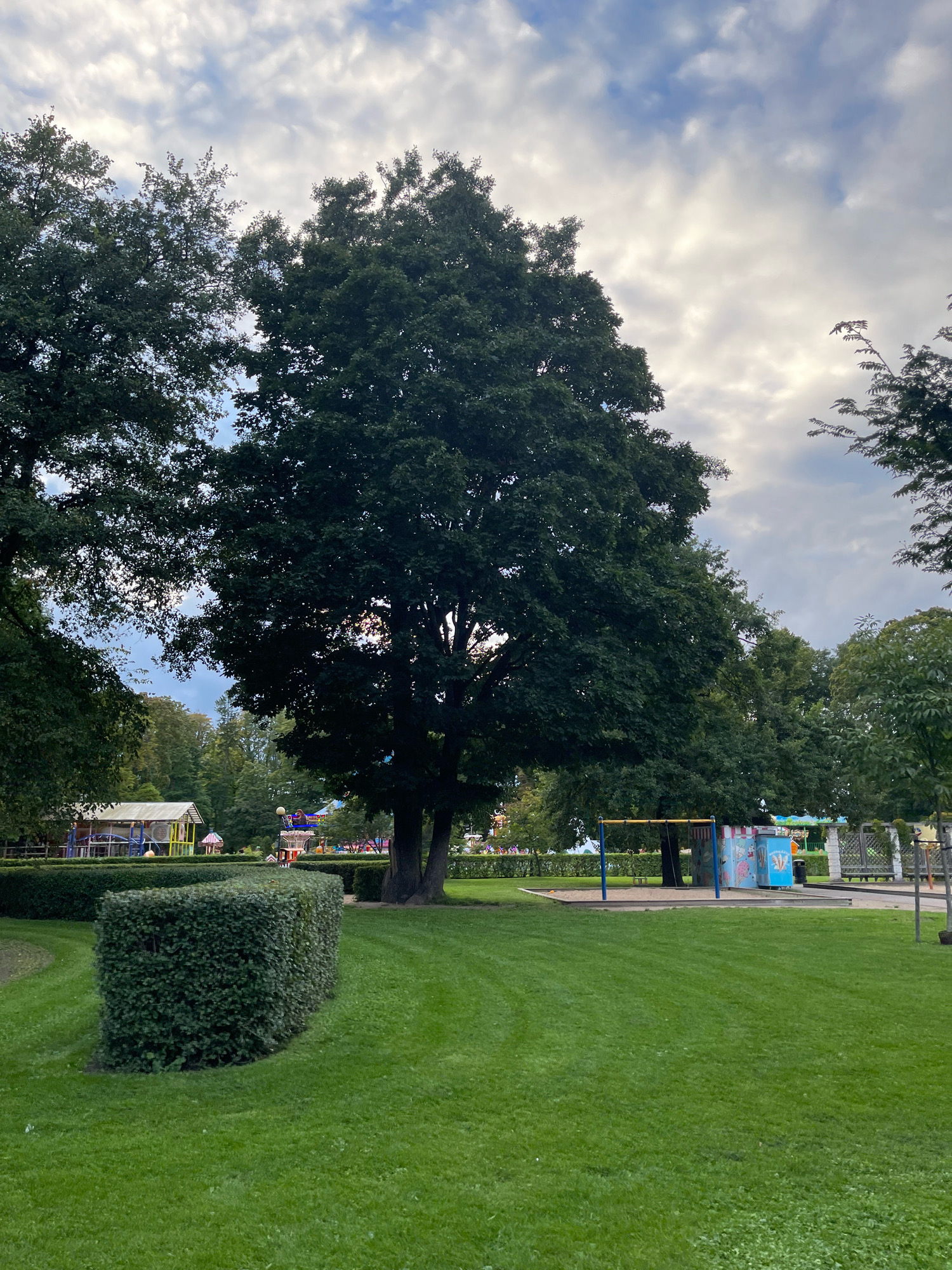 The image shows a park area with a large tree in the center, grass, and a playground in the background. The sky is cloudy with some patches of sunlight. On the left, there is a trimmed hedge in a curved shape. In the background, there are various playground structures, including a swing set and colorful playhouses, with trees and foliage behind them. The overall impression is of a public park, possibly in a city, with recreational facilities. The location in the city of Tallinn, Estonia, is not evident from the visual information provided in the image.