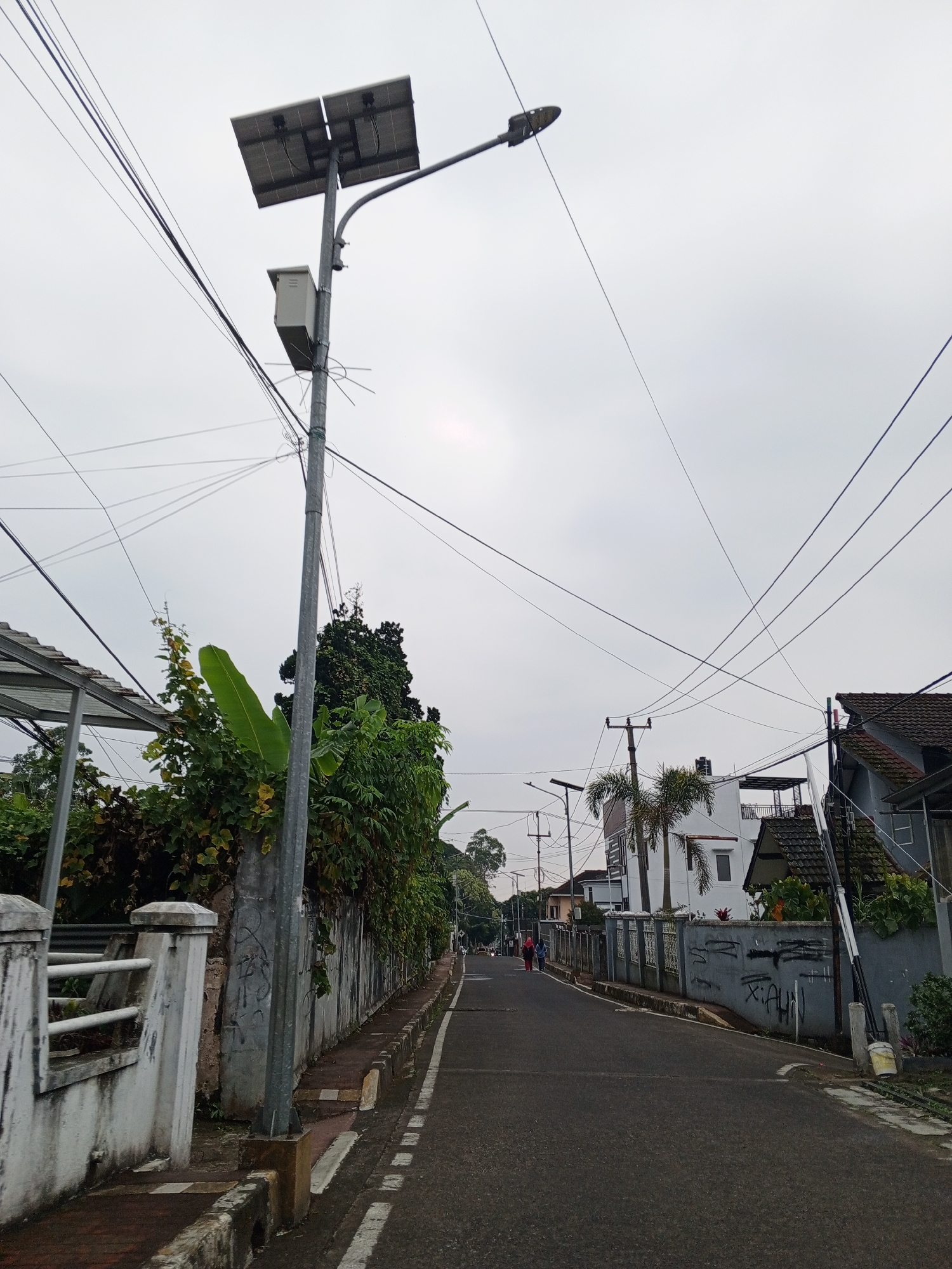 The image depicts a street scene in Pelwehera, Sri Lanka. A grey asphalt road stretches into the distance, lined with a concrete wall and sidewalk. A prominent lamp post with solar panels stands on the left side of the road, accompanied by a small grey utility box. Overhead, a complex network of electrical wires crisscrosses the sky, obscuring a cloudy atmosphere. Adjacent to the wall, lush green vegetation, including large banana leaves, thrives. In the background, residential buildings with tiled roofs are visible, interspersed with palm trees. A few people can be seen walking on the road in the distance. The overall impression is of a residential street on an overcast day.