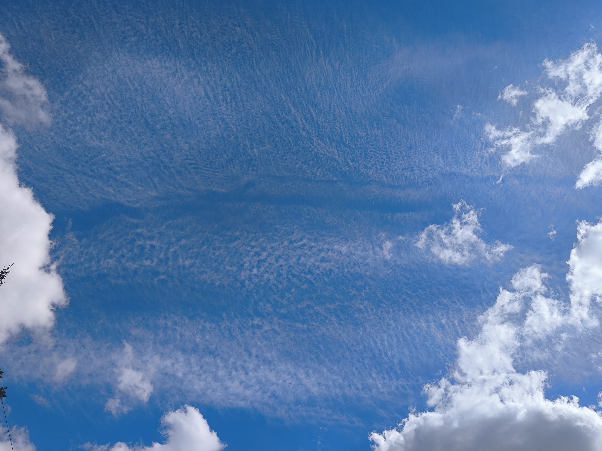 The image displays a bright blue sky with a mix of cloud formations. A band of thin, wispy cirrus clouds stretches across the majority of the frame, appearing as delicate streaks. In the lower left and right corners, as well as along the right edge, are patches of thicker, cumulus clouds with distinct white and gray shading. The bottom left corner also shows a hint of dark green foliage, suggesting the presence of trees or vegetation. The overall impression is of a daytime sky, likely during fair weather with varying cloud densities. The image is taken from a low-angle perspective, looking upwards towards the sky. There are no people, animals, or man-made structures clearly visible in the frame, apart from the possible hint of tree branches in the lower left. The scene is devoid of any specific urban elements that would definitively place it within Novosibirsk, Russia, or any other specific city.