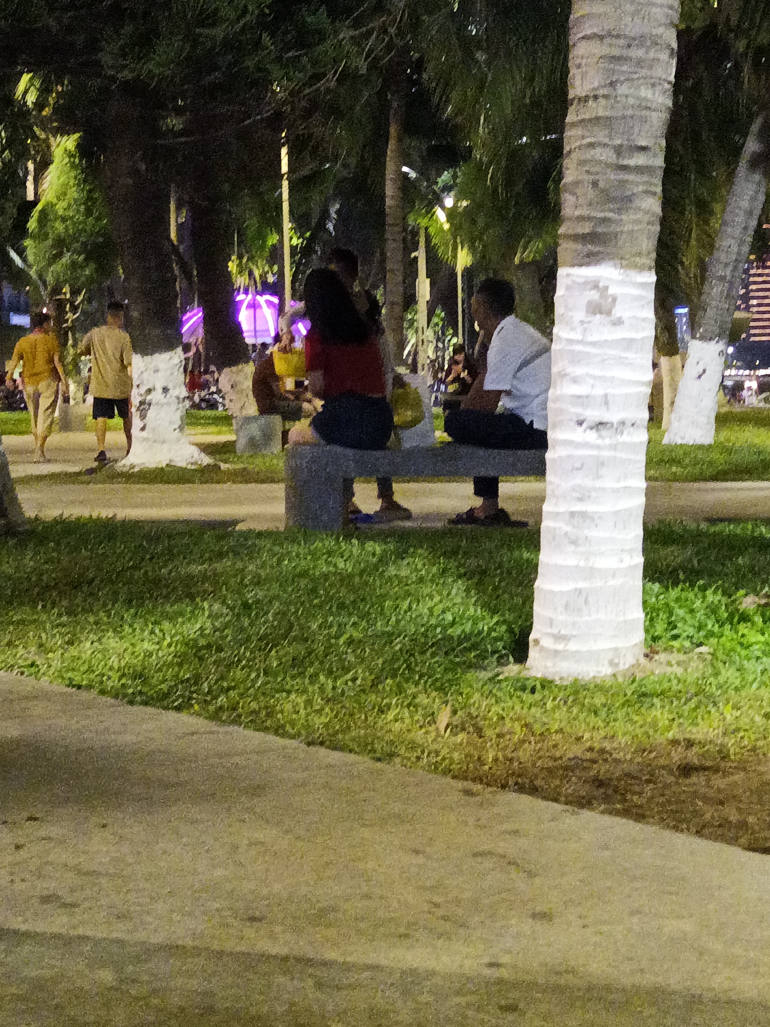 The image captures a nighttime scene in Nha Trang, Vietnam, likely along a waterfront promenade or park. In the foreground, a paved walkway transitions to a strip of lush green grass, with shadows cast across the path. Several palm trees, their trunks painted white, are prominently featured.
In the mid-ground, three people are seated on a stone bench. Two are facing away from the camera, one in a red shirt and dark shorts, and the other in a white shirt and dark pants. The third person, whose face is not visible, appears to be in a light-colored shirt. Two additional individuals are walking away from the camera in the background, one wearing a yellow shirt and light pants, the other in a tan shirt and dark shorts. Further in the background, faint lights suggest the presence of buildings and possibly illuminated structures. The overall atmosphere is relaxed and casual, indicative of an evening spent outdoors in a public space.
