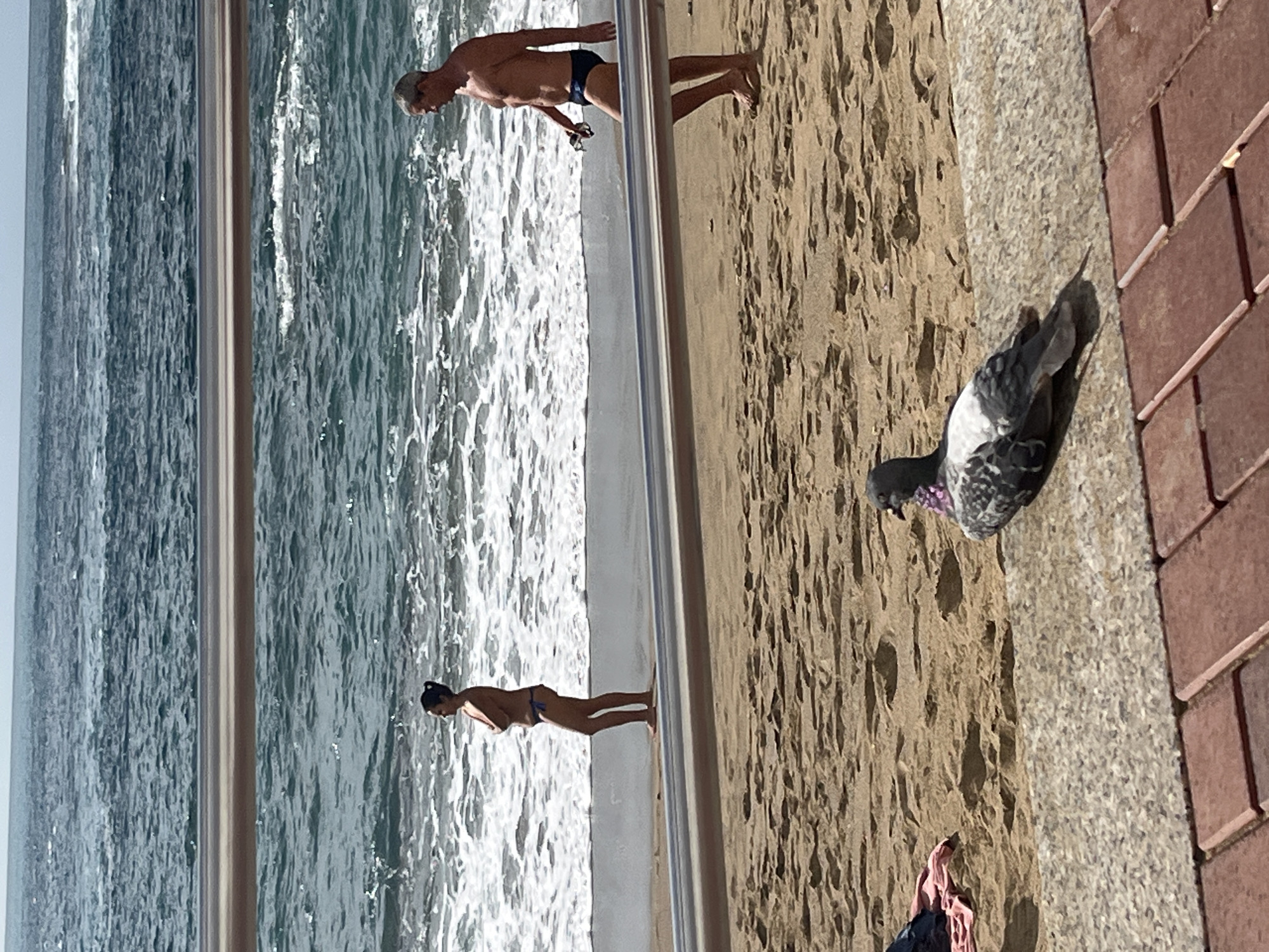 This image captures a vibrant beach scene on a sunny day in Las Palmas De Gran Canaria, Spain. The scene is divided horizontally into three main sections: the ocean on the left, a sandy beach in the middle, and a paved promenade on the right.
The ocean displays active waves breaking onto the shore, with varying shades of blue and white foam. On the sandy beach, two people are visible near the water's edge. An older man with grey hair, wearing dark swim briefs, stands facing partially away from the camera and towards the sea, holding swimming goggles in his hand. Further along the beach, a woman with dark hair tied back, clad in a dark two-piece swimsuit, stands facing the ocean. Both individuals appear to be enjoying the coastal environment, possibly preparing for or having just finished a swim.
A silver metal railing runs along the boundary between the sandy beach and the paved promenade. On the promenade side, the ground is made of reddish-brown bricks at the edge, transitioning to a lighter grey, possibly concrete or stone, surface further back. A pigeon with grey, white, and black feathers, showing a slight purple iridescence around its neck, stands on the sand near the paved area, facing away from the camera. In the bottom right corner, part of a foot wearing a dark sandal with pink fabric is visible, suggesting another person is nearby.
The bright, clear lighting and defined shadows indicate it is daytime, likely mid-morning or afternoon, under clear weather conditions. The overall atmosphere is one of leisure and outdoor activity at a popular beach location. No visible text is present in the image.