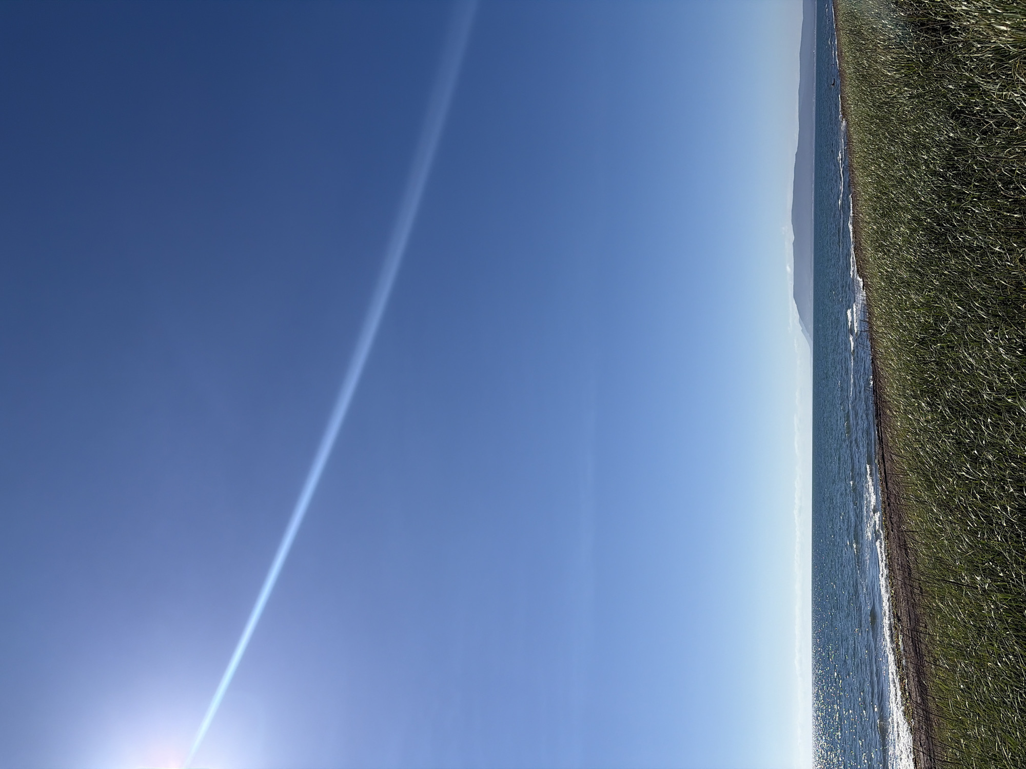 The image depicts a clear, bright, sunny day at a coastal location. The sky is a vibrant, cloudless blue, with the sun positioned in the upper left corner, creating a strong lens flare that streaks diagonally across the sky. The horizon line divides the scene into sky and sea. The sea is a deep blue, with small waves rolling towards the shore, reflecting the sunlight. Along the coastline, there is a strip of dark, possibly wet, sand or pebbles. In the foreground, tall, green grass or reeds are growing, obscuring some of the shoreline. In the distance, across the water, a low mountain range or elevated landmass is visible, silhouetted against the sky. There are no people or man-made structures immediately apparent in the scene. The overall impression is one of a natural, serene landscape on a beautiful day. There is no discernible connection to the city of Ozerskoe, Russia.