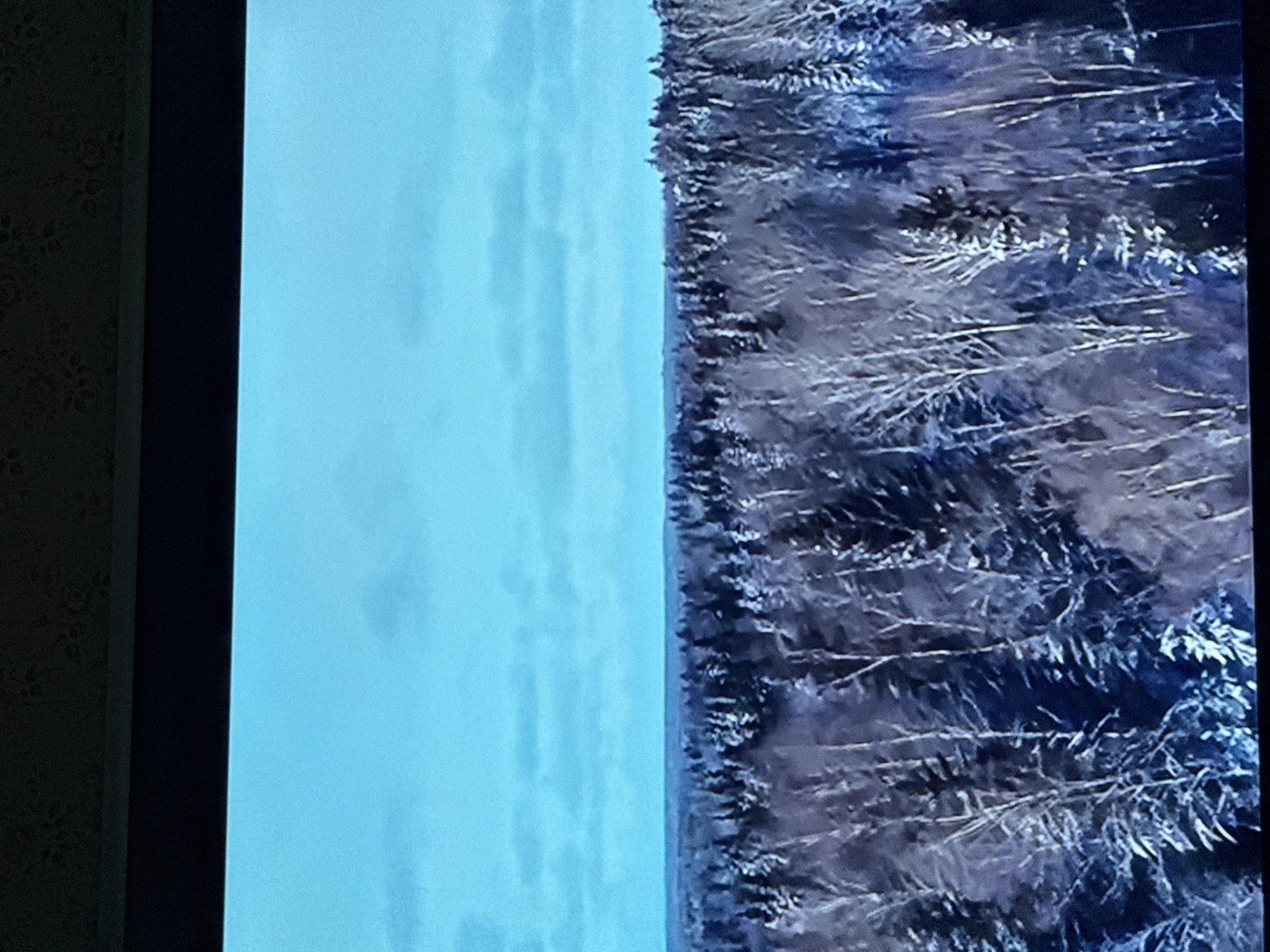 The image shows a landscape, likely of a forest, with a snowy or icy covering on the trees. To the left of the forest is an expanse of blue, which could be a body of water or the sky. The image appears to be a photograph of a television screen, given the black frame on the sides. Without more information or context, it's impossible to confirm that this scene is located in Mytishchi, Russia.