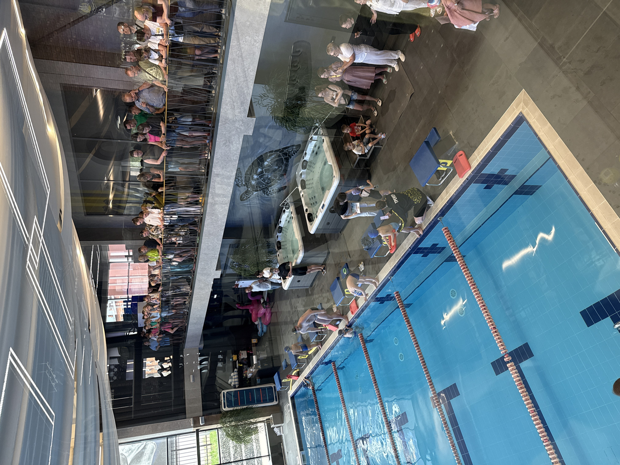 The image depicts an indoor swimming pool with swimmers preparing on the starting blocks. Overhead, a crowd of spectators observes from a balcony. A lower level, separated by a glass barrier, features hot tubs and a wall mural of a sea turtle. The overall setting appears to be a modern, upscale aquatic center. It is located in Votkinsk, Russia.