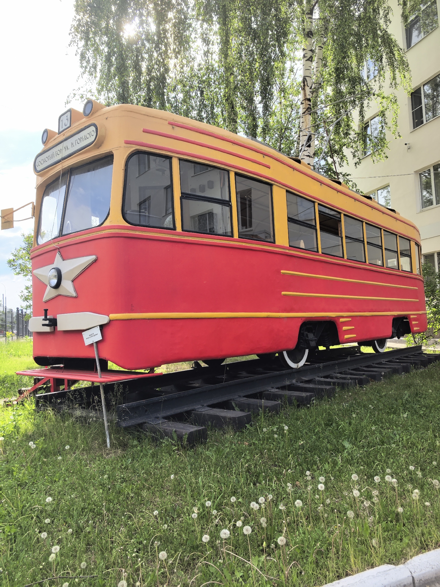 An outdoor, daytime scene features a vintage tram displayed as a monument on a short section of railway tracks. The tram is prominently colored, with a bright red body and a yellow roof, trim, and accents. It has a large front windshield, two front headlamps, and numerous side windows. A white star emblem with a central light is affixed to the front. Above the windshield, a sign displays "15" and text in Cyrillic: "СОСНОВЫЙ БОР. УЛ. М. ГОРЬКОГО" (Sosnovy Bor. M. Gorky St.). Below the front bumper, a small white sign clearly reads "НЕ ПРИКАСАТЬСЯ К ЭКСПОНАТУ" (Do not touch the exhibit).
The tram is situated on black railway tracks laid on wooden sleepers, which rest on a grassy area. The grass is green and dotted with numerous white dandelion seed heads. Behind the tram, a tall, slender birch tree with white and black bark stands out, its bright green leaves illuminated by strong sunlight from above, causing a sun flare in the top left of the image. To the right and in the background, a light-colored, multi-story building with multiple windows is visible. The scene suggests a sunny day with clear weather. There are no people visible, and the tram appears to be a static historical display rather than an active vehicle.