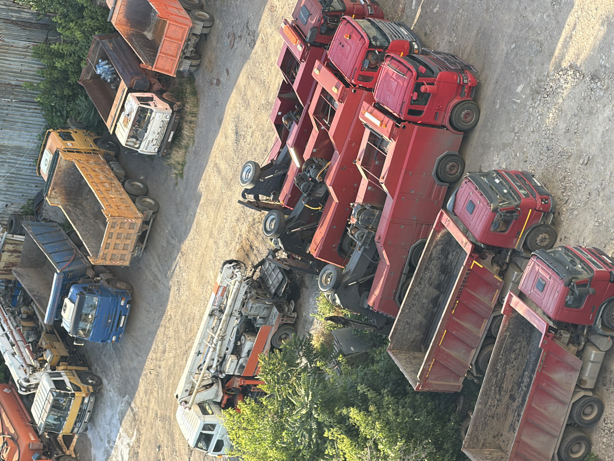 The image displays a collection of parked heavy-duty trucks in what appears to be a storage yard or an industrial area in Ovoshchnoy, Russia. The vehicles are mostly dump trucks, with several red trucks prominently featured in a line, and some orange and blue trucks visible as well. One truck has a concrete mixer attached. The ground is rough, composed of dirt and gravel. Lush green trees are growing in the background, suggesting an outdoor setting. The lighting indicates it is daytime, possibly late afternoon due to the shadows. No people are visible in the image.
There is some visible text on the trucks, including license plates and markings on the truck beds. For instance, one red truck bed has the text "4392 81263-64-61" printed on its side. Another truck has a yellow logo on its white cabin. The overall impression is one of industrial inactivity, with the trucks parked and awaiting their next use. The scene is arid, with no signs of recent precipitation.