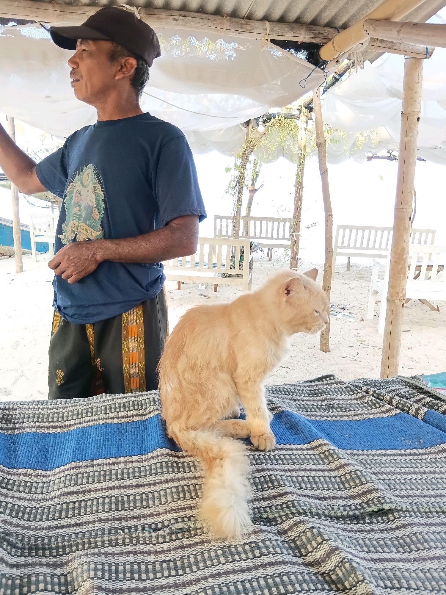 A man wearing a dark blue t-shirt and a black baseball cap stands on a sandy beach in Cikal, Indonesia. He has a mustache and is looking to his left. He is wearing dark shorts with an orange and white patterned fabric band around the bottom. In front of him, a fluffy, light orange cat sits on a woven mat with blue and grey stripes. The cat is facing to the right, with its head slightly turned. Behind the man and the cat, there are several white wooden benches and bamboo poles supporting a makeshift roof covered with white fabric. The ground is covered in sand.
