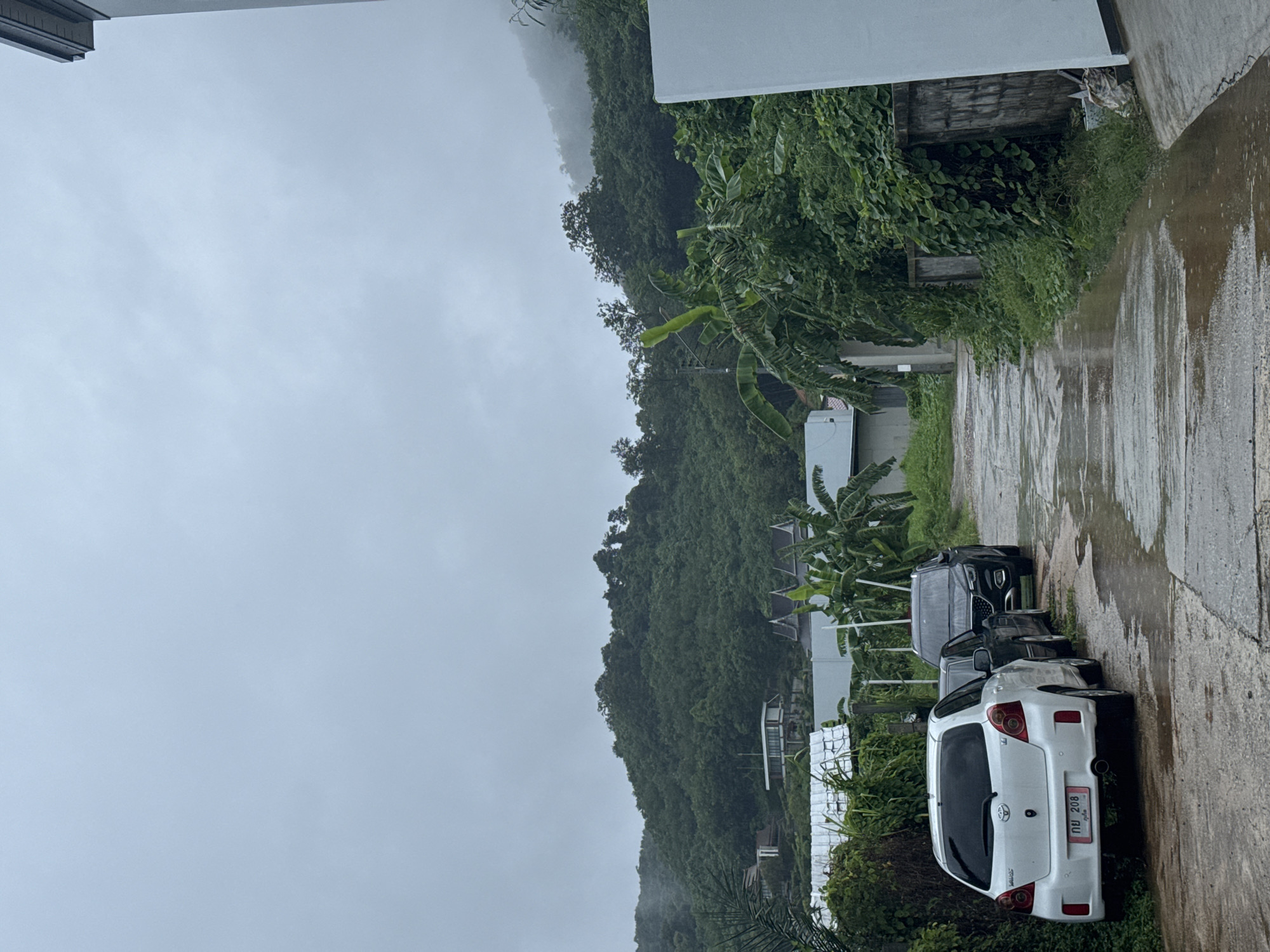 In Rawai, Thailand, a wet, paved road leads uphill towards a dense, green hillside under an overcast sky. Three cars are parked on the side of the road: a white Toyota Yaris in the foreground, a dark-colored sedan behind it, and a dark SUV at the back. Lush vegetation, including banana trees and vines, lines the right side of the road, partially obscuring a concrete wall. On the left, more greenery and some structures are visible, including a white building with a silver roof. In the distance, the hillside is covered in trees, and a modern house with a flat roof and glass windows is nestled amongst them. The overall atmosphere suggests a rainy or recently rained-upon day in a tropical setting.