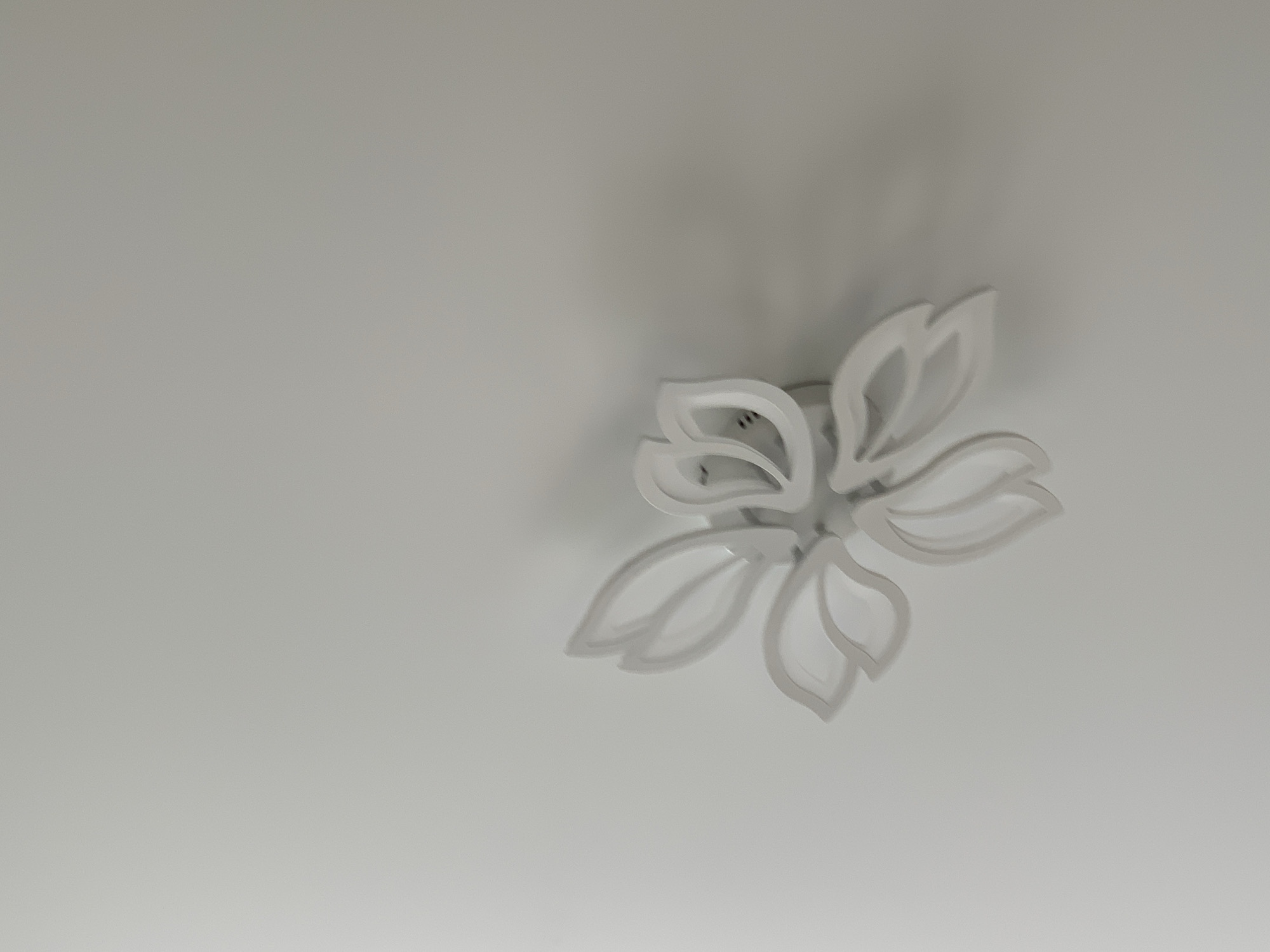 The media file contains a close-up, slightly blurry, upward-looking shot of a white, flower-shaped light fixture mounted on a plain, off-white ceiling. The light fixture has multiple layered petals, giving it a delicate and decorative appearance. A soft shadow cast by the light fixture is visible on the ceiling above and to the left, suggesting the light source is either integrated into the fixture or is a separate light source illuminating it from below. The overall lighting is soft and diffused, indicating it is likely daytime and the room is not brightly lit by direct sunlight. The scene appears to be an interior setting, likely a room in a home or building. There is no text visible in the image. The image is cropped from a wider view that would have shown more of the room. The context provided indicates the location is Stavropol, Russia, but there are no specific visual cues within the image to confirm this. The focus is solely on the light fixture and the ceiling.