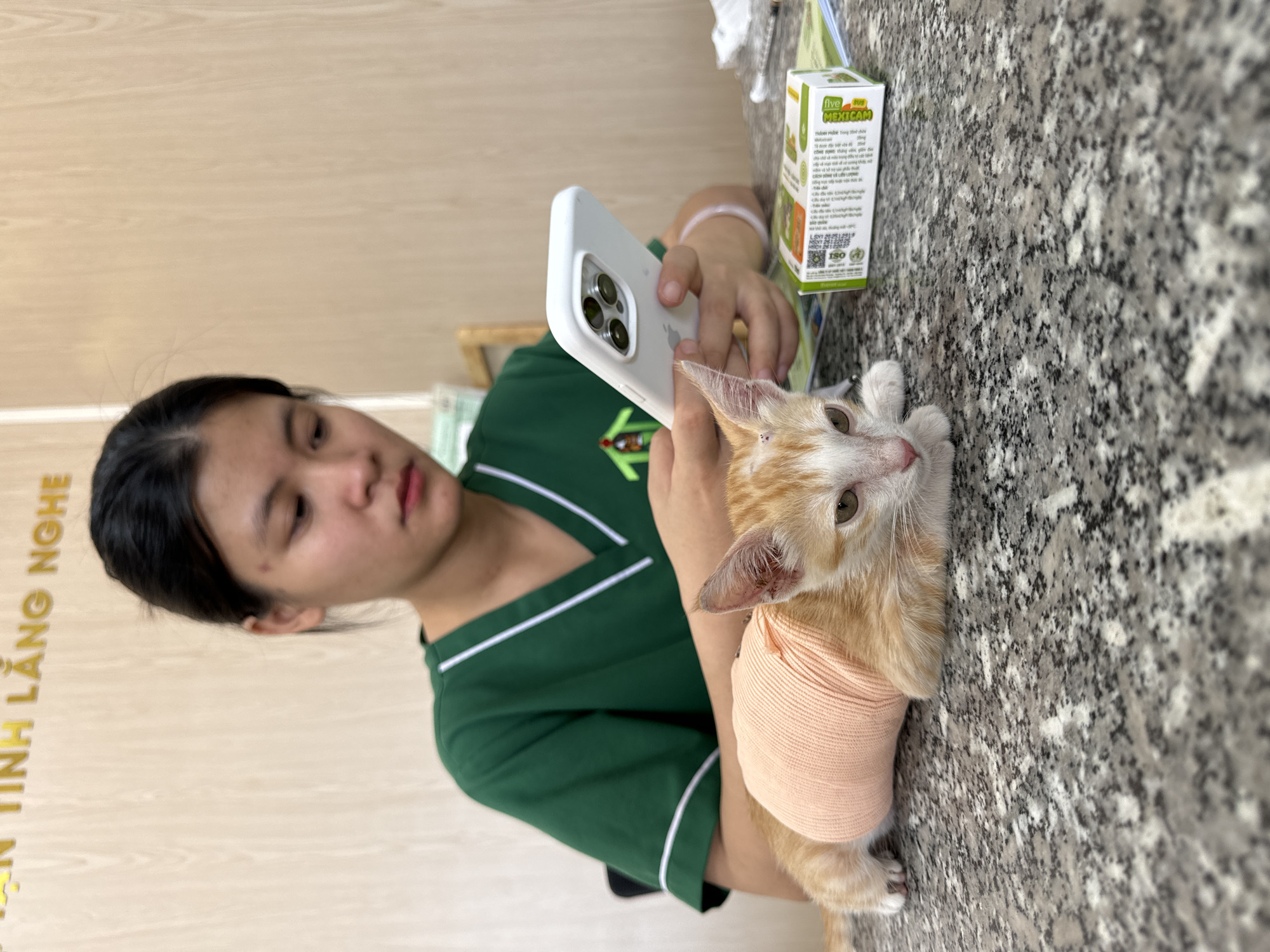 In Phu Thuy Ward, Vietnam, a young Vietnamese woman wearing a green medical uniform is seated at a gray speckled counter. She is holding a white iPhone in her hands, her gaze directed towards the screen. In the foreground, a small orange and white kitten lies on the counter, its torso wrapped in a peach-colored bandage. To the right of the kitten is a small white and green box of medicine. The background features a light-colored wooden wall with gold lettering.