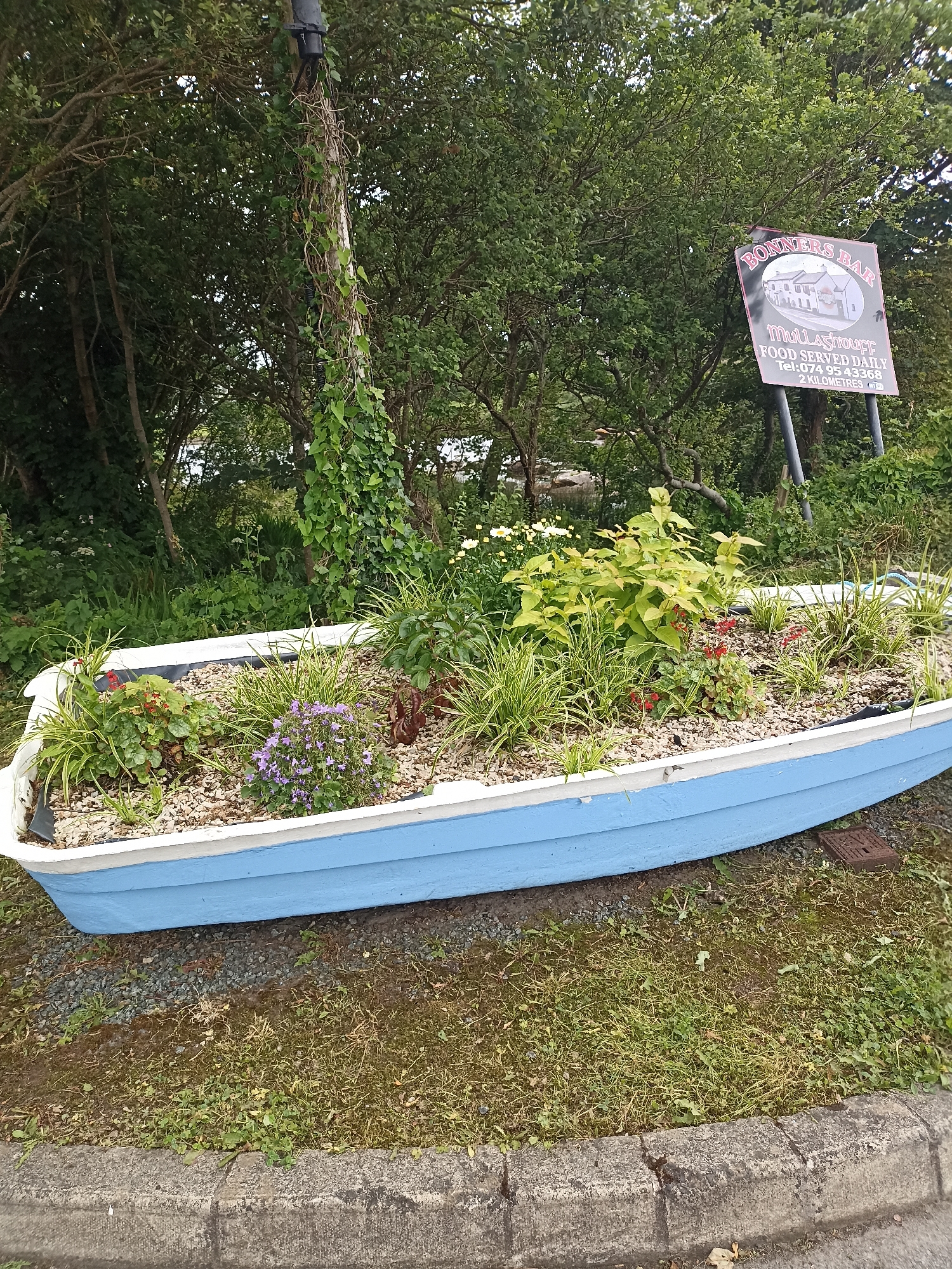 The image shows a blue and white boat repurposed as a planter, filled with various plants and flowers. The boat is situated on a gravelly surface next to a grassy area with a concrete curb in the foreground. Behind the boat, a wooden pole is wrapped in ivy, and a sign for "BONNERS BAR" is visible in the background, indicating a location in Mullaghshouff, likely near Annagry West, Ireland, as suggested by the text on the sign. The environment appears to be outdoors, with trees and foliage surrounding the scene. The lighting suggests it is daytime, with an overcast sky. No people are present in the image.