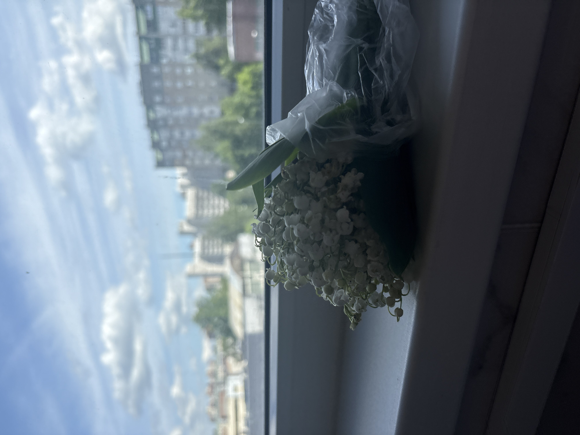 A bouquet of white lily of the valley flowers with prominent green leaves is positioned on a windowsill. The flowers are partially encased in a crinkled, clear plastic wrapping.
Through the window, a bright daytime urban landscape is visible. The sky is a clear blue with scattered white, fluffy clouds. In the background, blurry images of multi-story buildings and areas of green foliage from trees are discernable, consistent with a city environment like Saint Petersburg, Russia. The sunlight suggests it is daytime, possibly morning or afternoon. The window frame and part of an interior wall are visible, framing the outdoor view. No specific activity is occurring, and there is no visible text in the image.