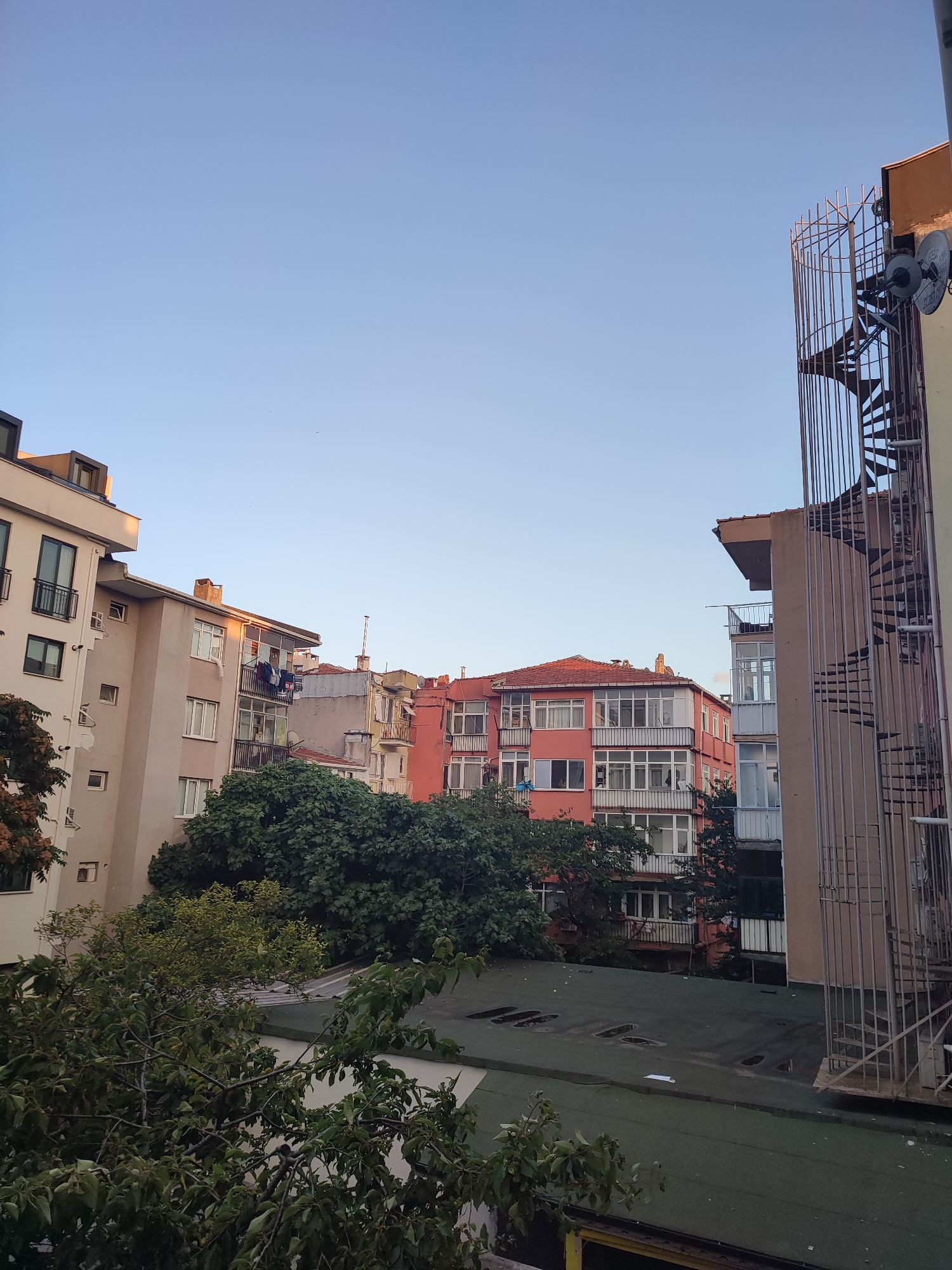 This image, taken from a window in Kadıköy, Turkey, depicts a view of apartment buildings and trees against a clear blue sky. The buildings vary in height and color, with one prominent pink building featuring balconies and numerous windows. To the right, a metal spiral staircase is visible on the side of a building. Lush green trees are scattered throughout the scene, with some branches reaching into the foreground. The rooftops are mostly flat and covered in a dark material. The lighting suggests it is late afternoon or early evening, with the sun casting a warm glow on some of the building facades. There are no people visible in the image.