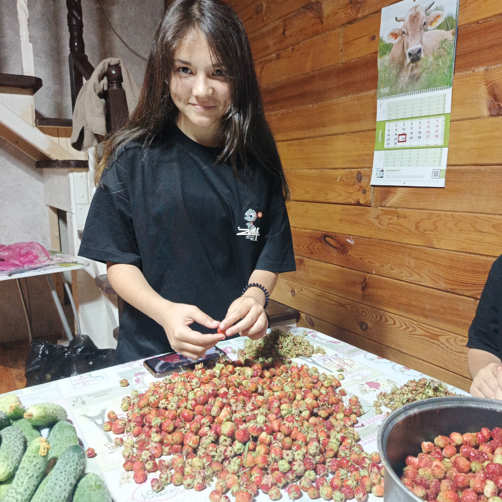 In a dimly lit, rustic room with wood-paneled walls, a young girl with long, dark hair stands at a table covered with a patterned tablecloth. She is wearing a black t-shirt with a graphic print. In front of her is a large pile of wild strawberries, and she is holding one in her hands, seemingly in the process of hulling them. To her left, there is a pile of cucumbers, suggesting a harvest or preparation for a meal. A metal pot filled with more strawberries is visible to the right of the frame. On the wall behind the girl, a calendar with a cow image is displayed, with the date June 24 circled. The overall scene evokes a sense of domestic activity, likely in a rural setting, possibly during late spring or early summer given the presence of fresh produce. The lighting suggests it is indoors, possibly evening or a cloudy day. The girl's expression is calm and focused on her task. The text on the table cloth includes French phrases like "EAU DE COLOGNE" and "BEAUTIFUL MUSIC," and English phrases like "LOVE FLOWERS" and "FOREVER." There is also a product name "АЙСИДИВИТ" visible on the calendar.