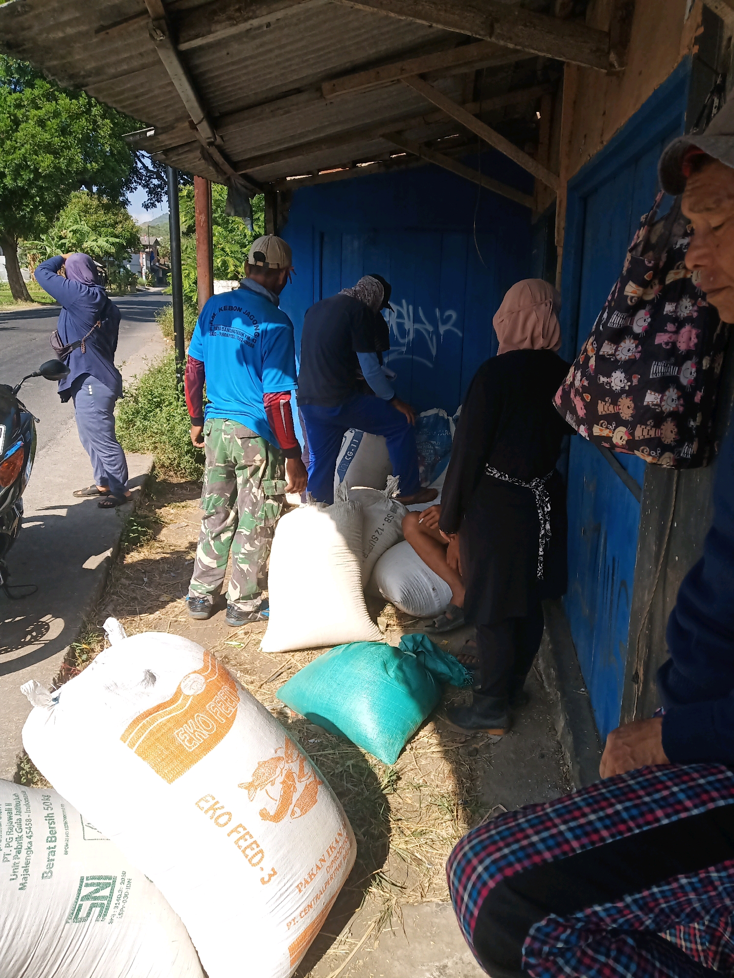 The image depicts an outdoor scene, likely in a semi-urban or rural area of Garut, Indonesia, characterized by a makeshift shelter with a corrugated metal roof supported by wooden posts. Several individuals are present, engaged in activities around large sacks of what appears to be animal feed.
In the foreground, a large white sack with orange lettering prominently displays "EKO FEED 3" and graphics of fish, suggesting it contains fish feed. Another sack, partially visible, is green. To the left, a motorcycle is parked on a paved surface adjacent to a grassy embankment.
Several people are visible. On the left, a person in a blue headscarf and blue trousers stands with their back to the camera, holding their hand to their head. Next to them, a person wearing a blue t-shirt with "M. KEBON JAGONG" on the back and camouflage pants is facing away. Further to the right, another person in a dark t-shirt is partially obscured by sacks. A person wearing a light brown hijab and a black tunic with a patterned sash tied around their waist is standing near a blue wooden structure. In the far right, a person wearing a patterned skirt and a blue jacket is seated, with their hands visible. An older individual with a hat is partially visible in the upper right, looking down.
The environment includes dry grass and soil around the sacks. The blue wooden structure appears to be a small kiosk or stall, with graffiti visible on its surface. In the background, trees and a road are visible, suggesting a location near a thoroughfare. The lighting indicates it is daytime.
