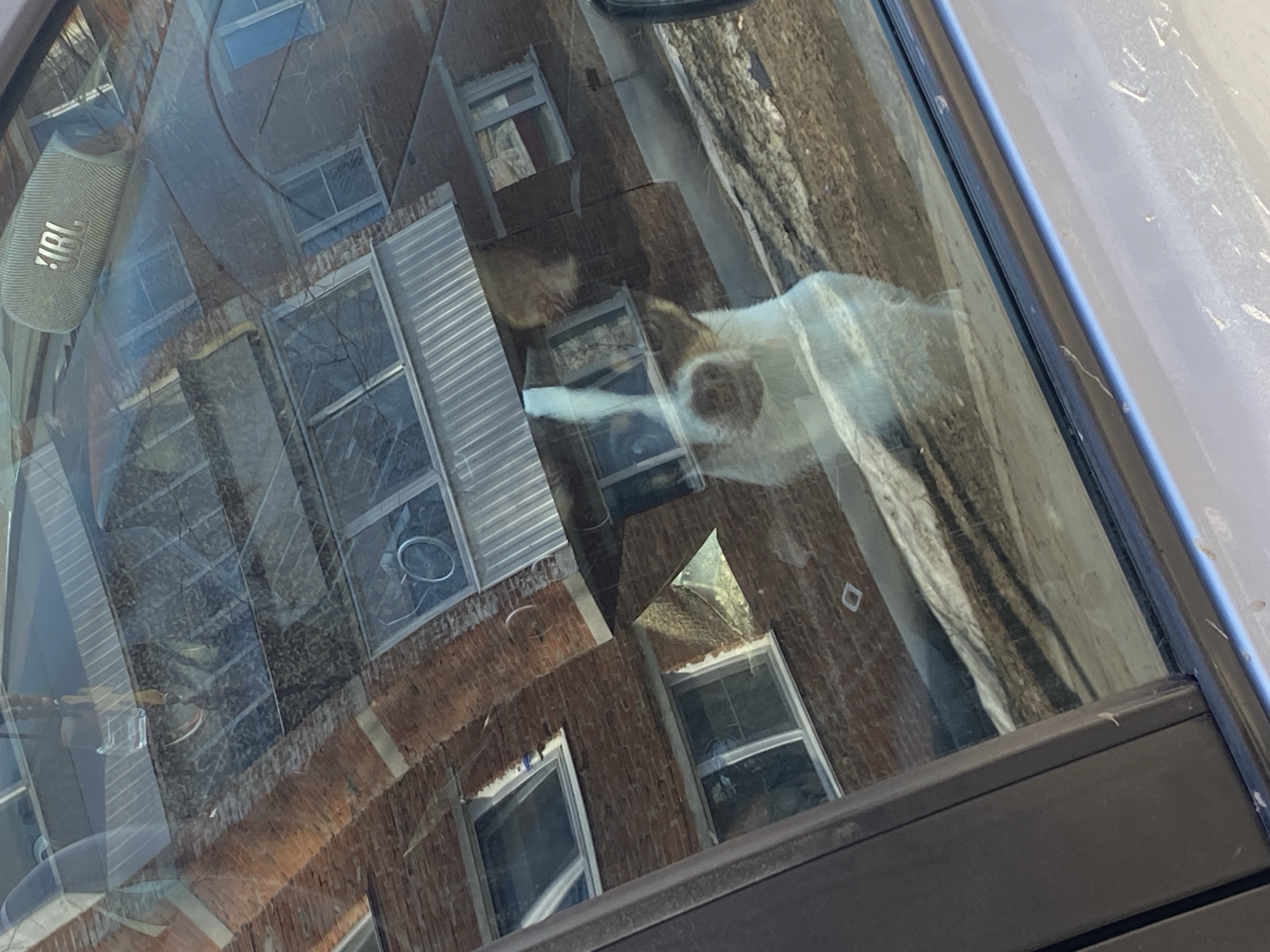 The image depicts a reflection in a car window, showing a building across the street. The building is a brick structure with multiple windows, some covered by blinds. A JBL speaker is visible inside the car, adhered to the windshield. The reflection also includes trees and possibly other buildings. The location is indiscernible.