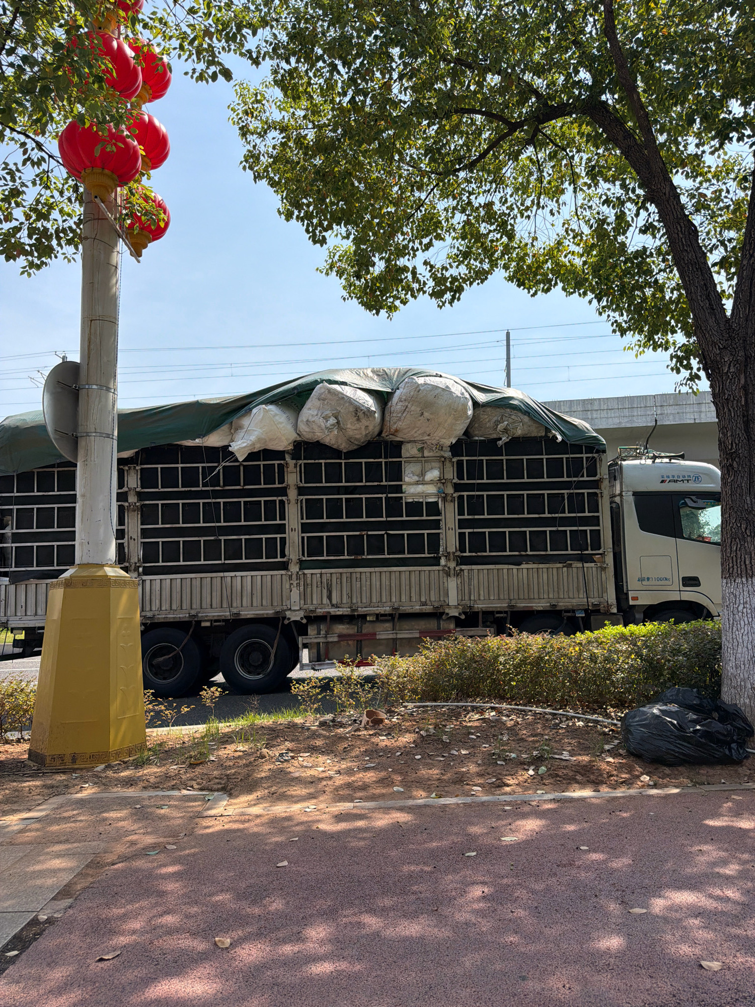 In Jiangjin, China, a large truck with a covered cargo bed is parked alongside a street. Red lanterns are suspended from a lamppost on the left side of the frame, and a large tree with dense foliage provides shade on the right. The truck's cargo is covered with a green tarp, with several large, rounded white sacks protruding from the top. The truck has a white cab with some text in Chinese characters and a logo. The area surrounding the truck consists of a patch of dry grass and bushes, a sidewalk, and a road. A black trash bag is visible near the base of the tree. Overhead, power lines are visible against a clear blue sky.