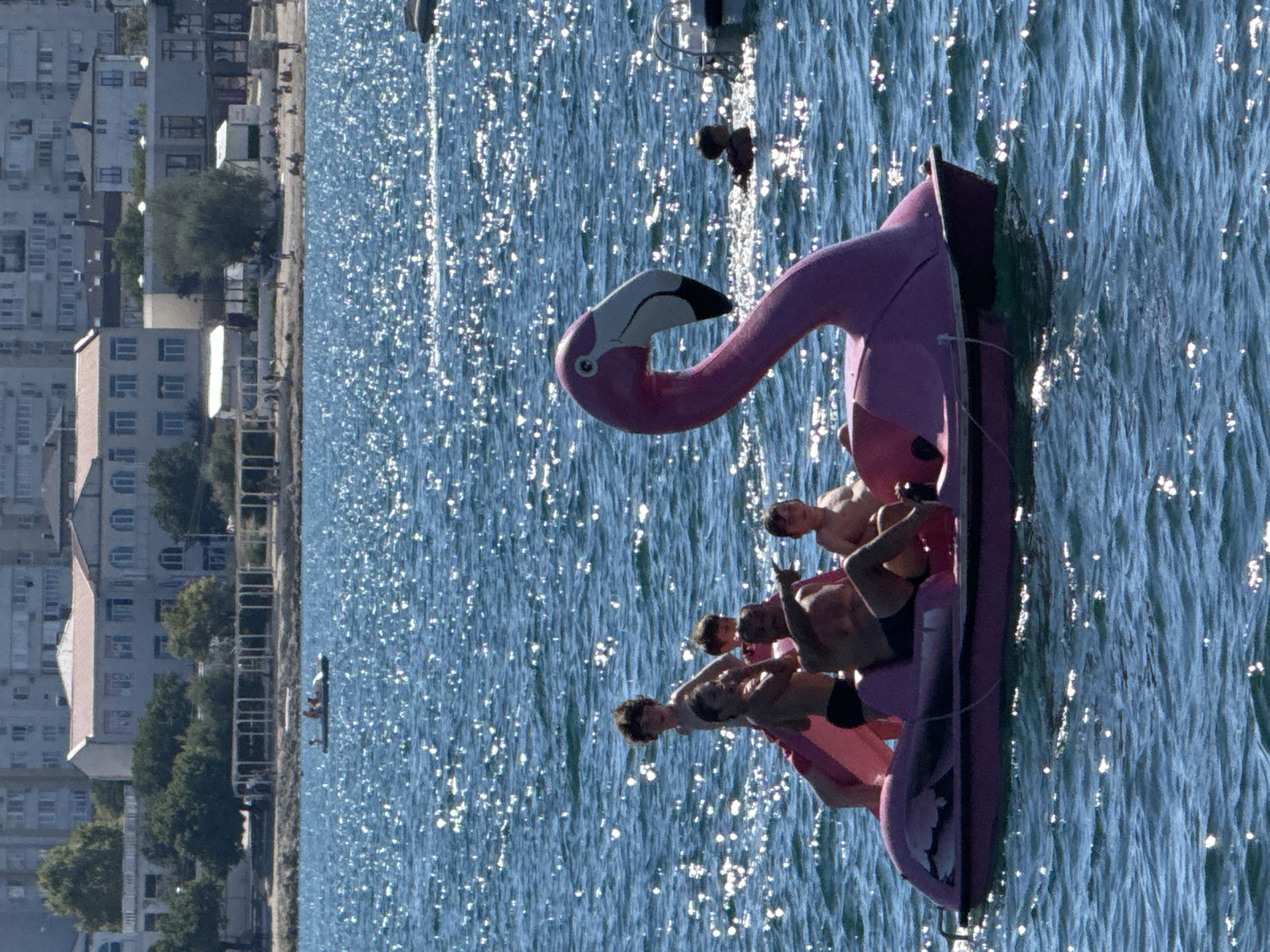 This image captures a bright, sunny day at a beachside resort in Sevastopol, Ukraine. The foreground is dominated by a pink flamingo-shaped pedal boat on the sparkling blue sea. Several individuals, appearing to be a family or group of friends, are on the boat. A man in the center, wearing dark swim trunks, is pointing to the right, seemingly interacting with the person next to him, who is wearing a black swim brief. Behind them, three young boys are also visible on the boat, two of whom are looking towards the front. The water is calm with noticeable sun glare, indicating a clear and bright day. In the middle ground, further out in the water, another person is swimming. In the background, a sandy beach with people relaxing and walking is visible, backed by a row of trees and various buildings, including multi-story apartment blocks and smaller structures that suggest recreational facilities. The buildings in the far background are typical of a coastal city. The overall scene depicts a leisurely summer day at a popular seaside location.