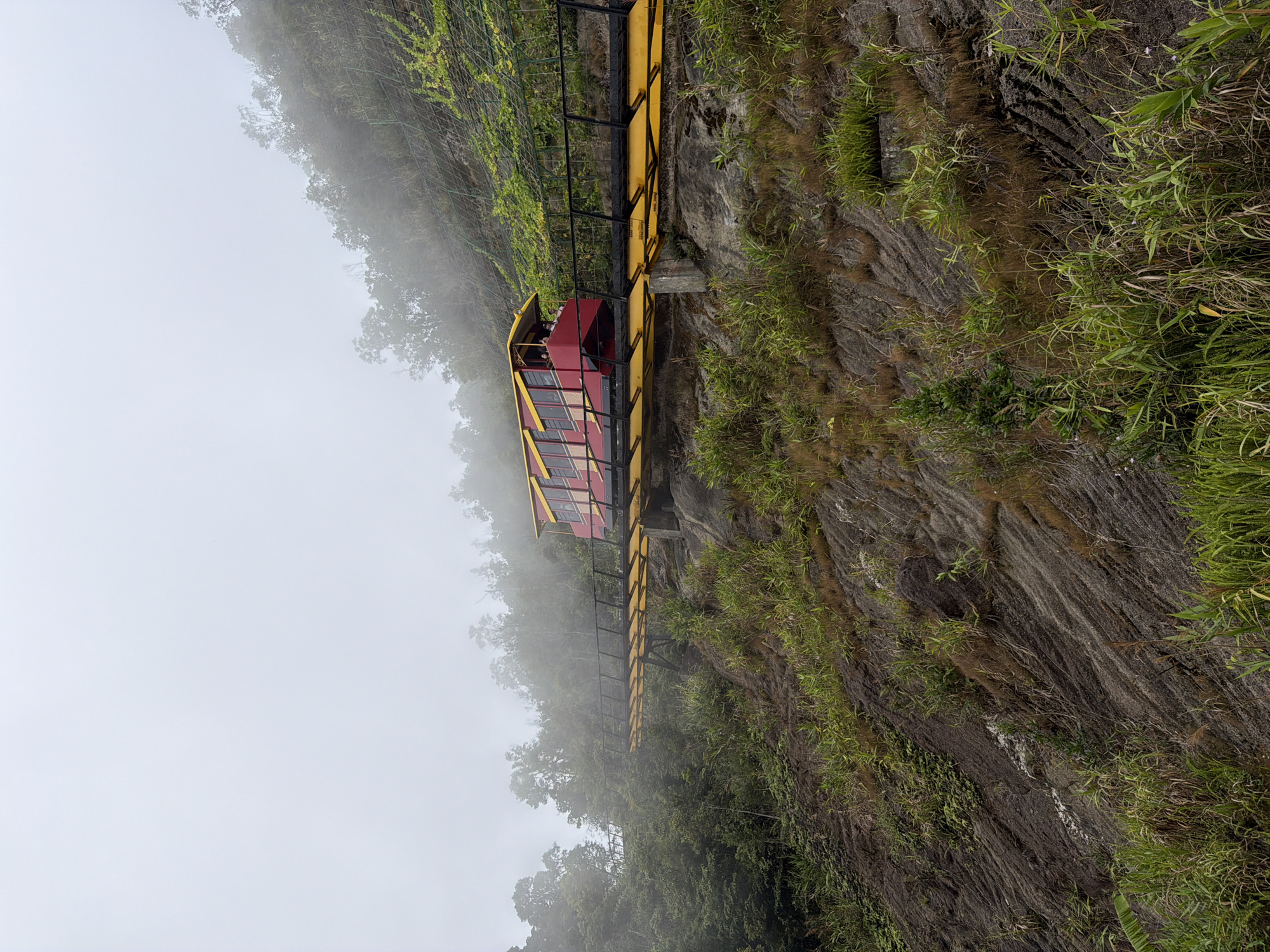The image shows a red and yellow funicular train on a track on a steep, vegetated mountainside. The train has multiple windows and appears to be carrying passengers. The track is supported by yellow beams and black railings. The mountainside is covered in rocks, soil, and various types of green vegetation, including grass and trees. The background is obscured by thick fog or mist, which covers the tops of the trees and the sky. The overall impression is of a remote, elevated location with limited visibility due to the weather. The location is the Ba Na Hills mountain resort, near Da Nang, Vietnam, where the "Dream Stream" funicular is a popular attraction.