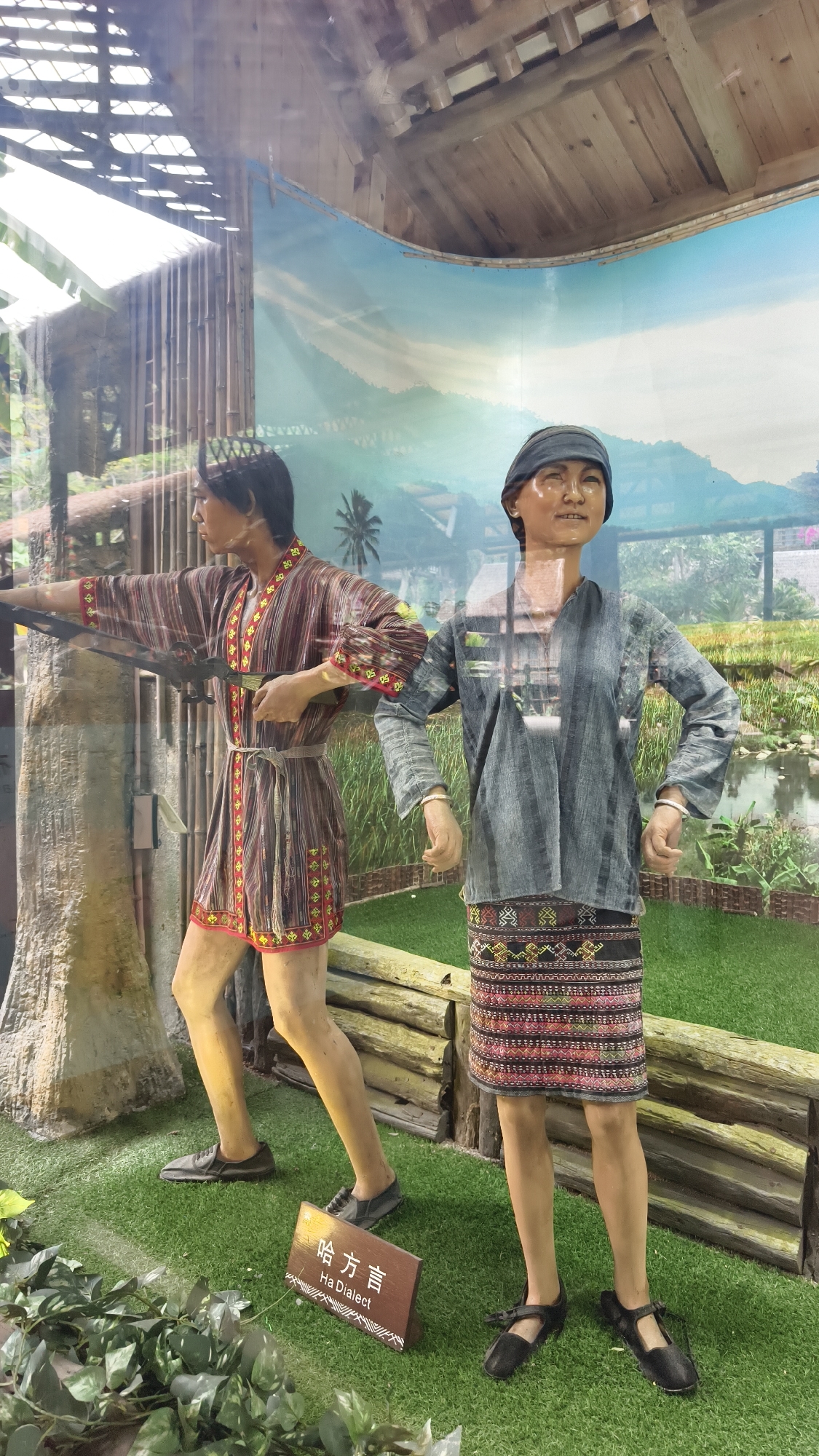 This image captures an indoor cultural exhibit in Jiyang District, China, viewed through a reflective glass panel. Two life-sized mannequins, depicting individuals in traditional attire, are positioned on artificial green turf.
The male mannequin on the left stands facing partially right, holding an elongated, dark weapon resembling a crossbow or bow, with his left arm extended forward and right hand near his waist. He wears a knee-length, striped tunic in shades of brown, red, and yellow, adorned with geometric patterns along the borders and cinched with a light-colored sash. He has short, dark hair and dark shoes.
The female mannequin on the right faces forward with a slight turn to the left, displaying a subtle smile. She wears a long-sleeved, grey striped shirt with a V-neck and a knee-length black skirt intricately patterned with colorful geometric designs. She has dark hair covered by a dark cap or headwrap and wears dark, strapped shoes. Each of her wrists bears two silver-colored bangles.
Between the mannequins, a small wooden sign on the turf displays "哈方言" (Ha Fang Yan) and "Ha Dialect" in white text. Behind the figures, a low, simulated log fence extends horizontally, and a large, light-colored vertical element, resembling a tree trunk or pillar, stands behind the male mannequin. The background is a large, curved photographic or painted mural depicting an outdoor landscape with a clear blue sky, distant green mountains, a palm tree, a green field, and a small body of water. Above the backdrop, wooden structural elements of the exhibit ceiling are visible.