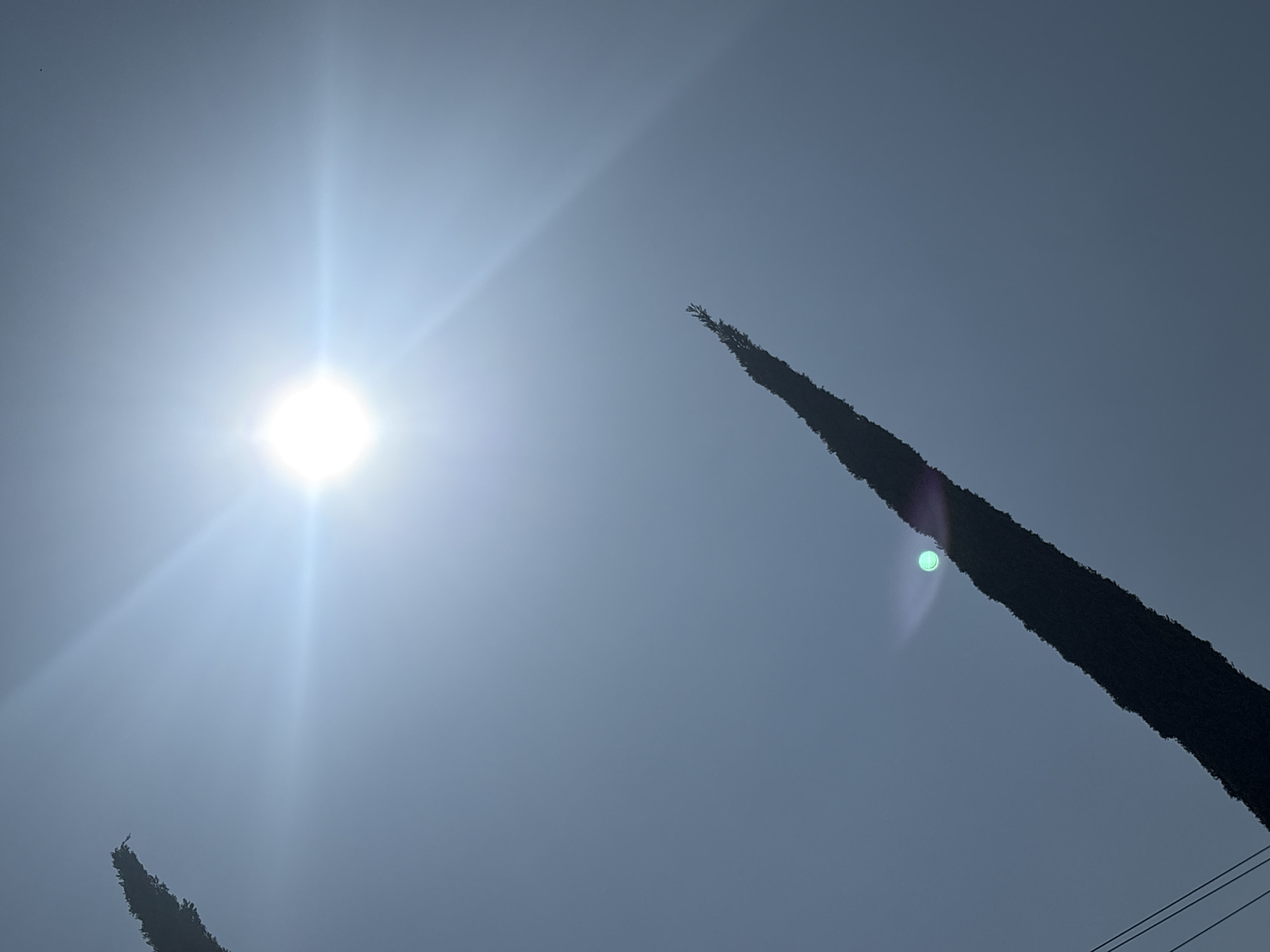 The image displays an upward view of a clear, light blue sky. A distinct, intensely bright sun is positioned in the upper center, generating significant lens flare, including radiant streaks and a circular green aberration near the center of the frame, partially behind one of the trees. The silhouettes of two dark, tall, and slender coniferous trees are visible. One tree extends diagonally from the lower-left to the upper-right portion of the image. A second tree's top is partially visible in the upper-left corner. Multiple dark, parallel utility lines run diagonally from the lower-left corner, positioned behind the main tree silhouette. No people or artificial structures are discernible other than the utility lines. The scene is located in the city of Puebla, Mexico.