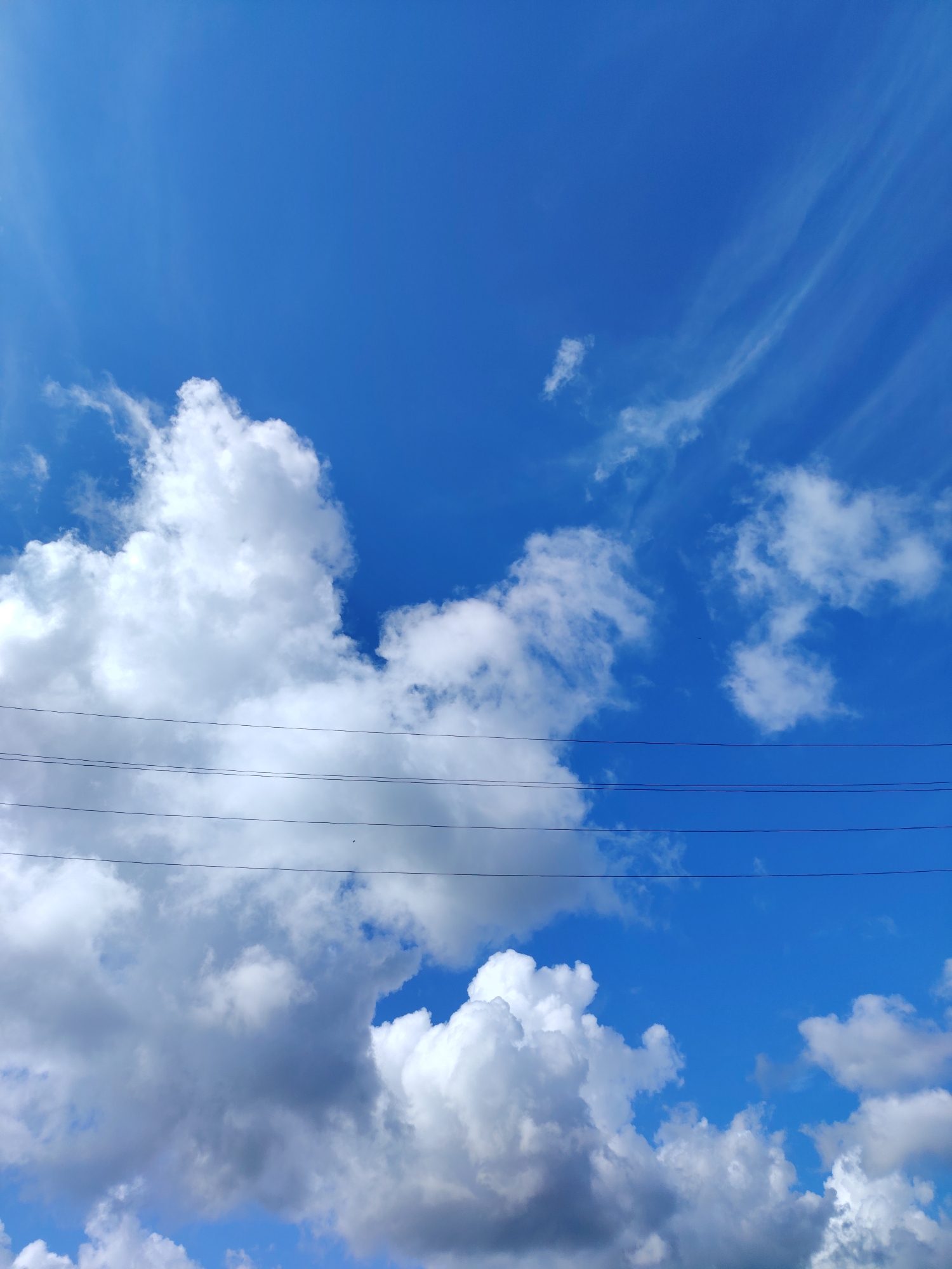 The image shows a view of the sky in Chaikovsky, Russia. The sky is blue with a mix of cumulus and cirrus clouds. Several power lines run horizontally across the middle of the frame, intersecting the clouds. A single, small bird is visible flying near the power lines.