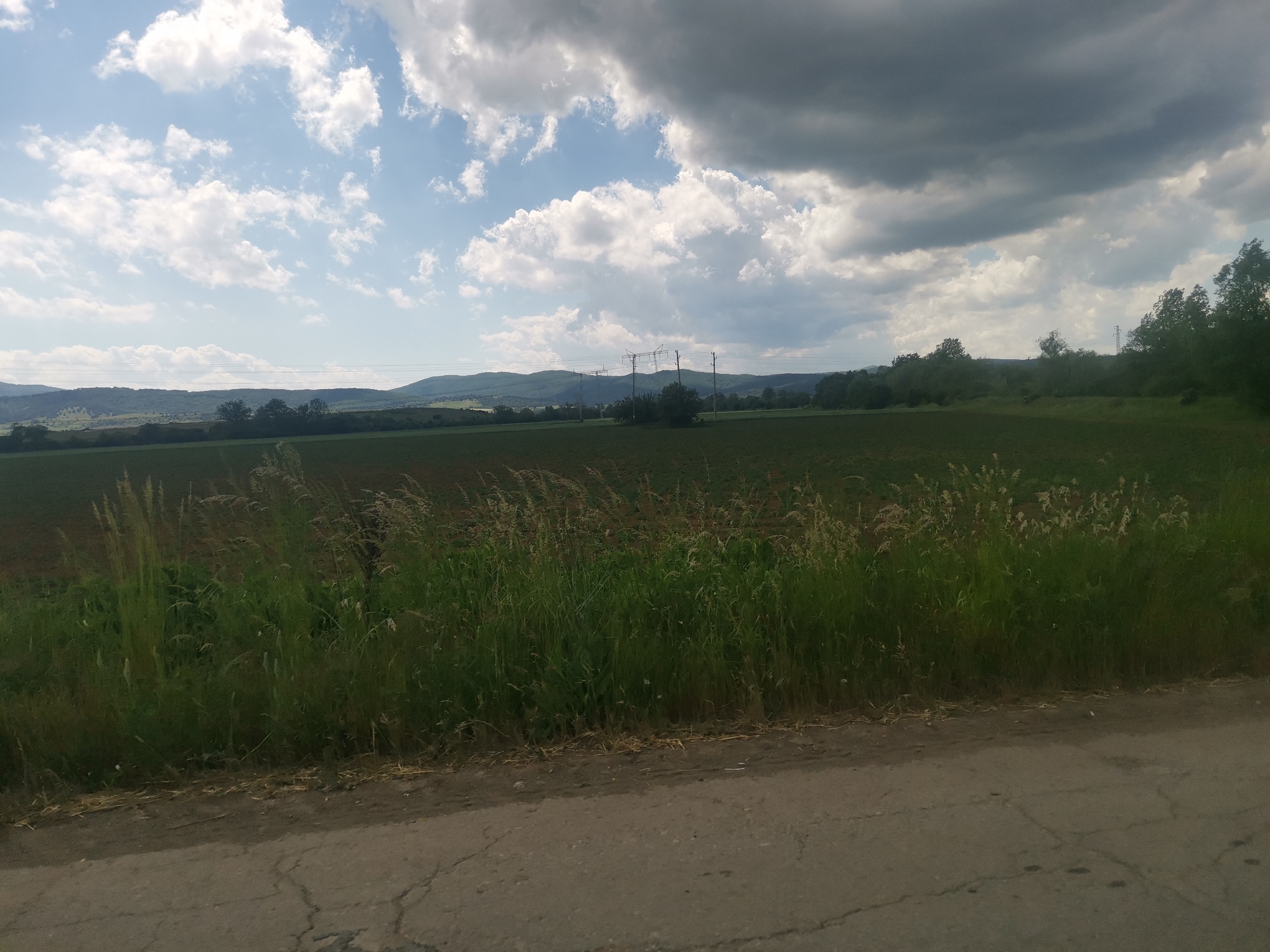 The image depicts a rural landscape in Zhivkovo, Bulgaria. In the foreground, there is a cracked concrete road with patches of weeds and tall grass growing along the edge. Beyond the roadside vegetation, an expansive field extends towards the horizon. The field's surface appears to be a mix of brown soil and sparse green vegetation.
In the middle distance, faint outlines of trees and rolling hills are visible. Power lines and transmission towers are noticeable against the horizon, disrupting the natural landscape.
The sky occupies a large portion of the image and is filled with a mix of cumulus and cumulonimbus clouds. Some clouds are bright white, illuminated by sunlight, while others are darker and indicate an impending storm.