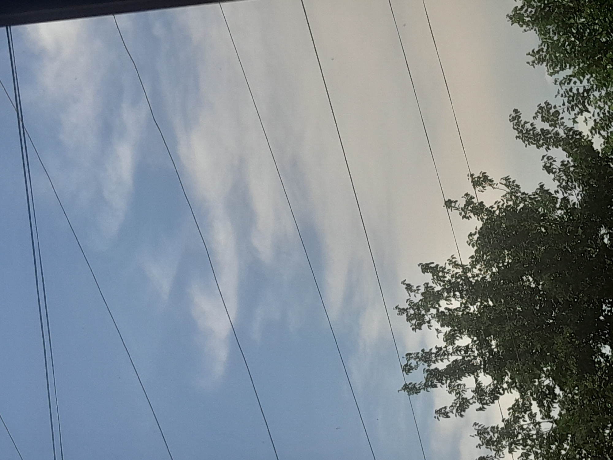 This is a photograph taken from a low angle, looking up at a sky with some clouds and trees on the right side. Several parallel power lines run horizontally across the frame, dividing the sky into sections. The sky is a mixture of blue and a lighter, brighter hue, suggesting either early morning or late afternoon. The clouds are wispy and scattered, with a hint of sunlight breaking through in some areas. The trees are lush and green, with many leaves, indicating a time of year with active foliage. The overall impression is a somewhat mundane, everyday scene, perhaps taken from a window or through a gap in trees. There are no people or specific objects visible beyond the trees and power lines. The lighting suggests it is daytime, but the exact time of day is not precisely discernible. The weather appears to be partly cloudy, not overtly stormy or clear. There is no discernible text in the image.