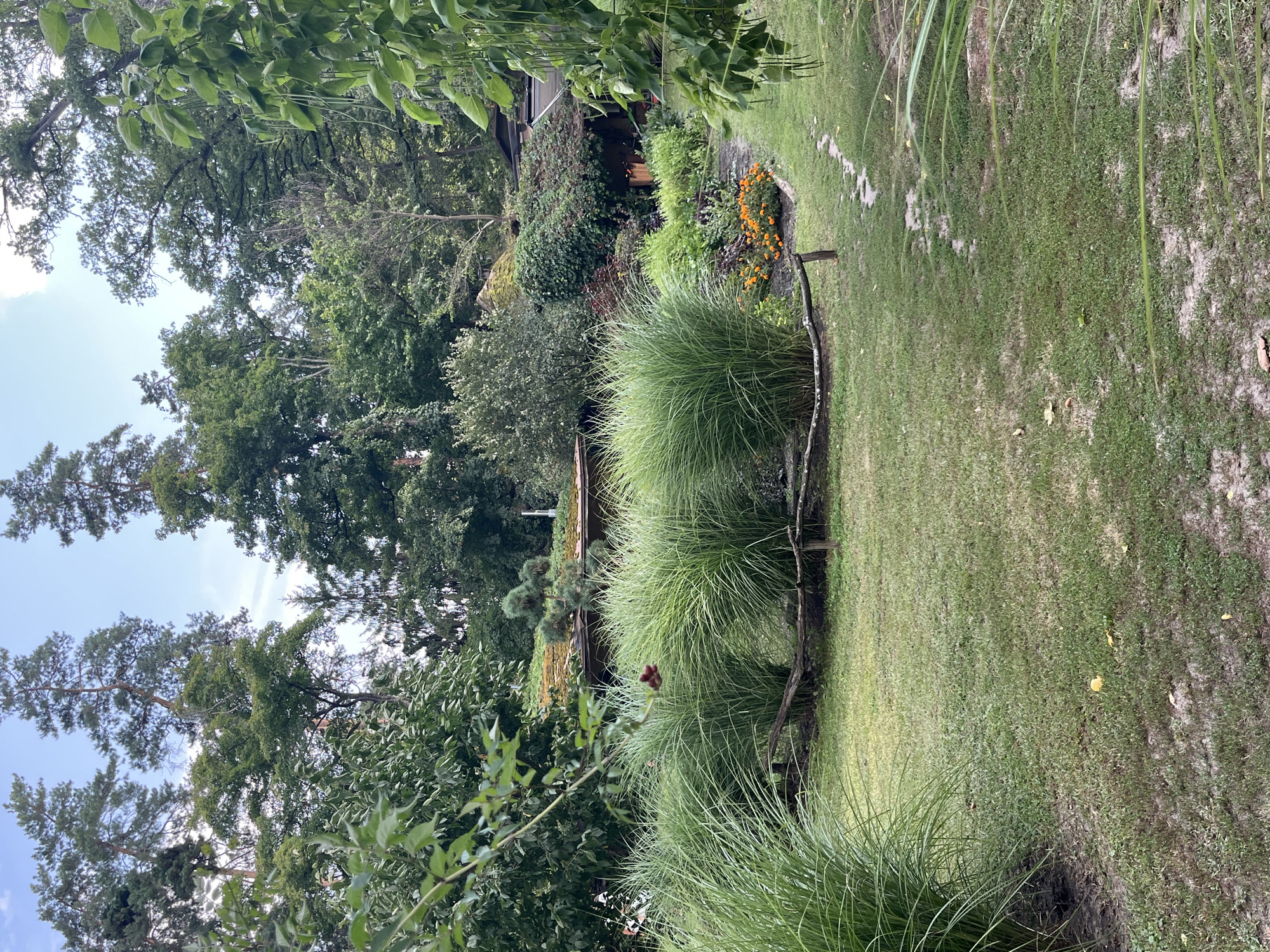 The image depicts a tranquil garden setting with lush vegetation and a rustic dwelling. In the foreground, ornamental grasses with their feathery plumes dominate the left side, while a pathway meanders through the lawn towards a building partially obscured by trees and greenery. The building appears to be a house or a cabin with a moss-covered, sloping roof, characteristic of a natural or rustic architectural style.
The garden is vibrant with a variety of plants, including flowering shrubs with orange blooms, and an assortment of trees forming a dense backdrop. The overall atmosphere is one of natural beauty and seclusion. The scene is captured during daylight, with soft lighting suggesting it might be a partly cloudy or overcast day.
The location is identified as Korobiv Khutir, Ukraine, a village in the Kyiv Oblast. The image conveys a sense of rural peace and the charm of a well-maintained garden surrounded by nature. There are no people or animals visible in the image. The focus is on the landscape and the architectural elements that blend harmoniously with the environment.