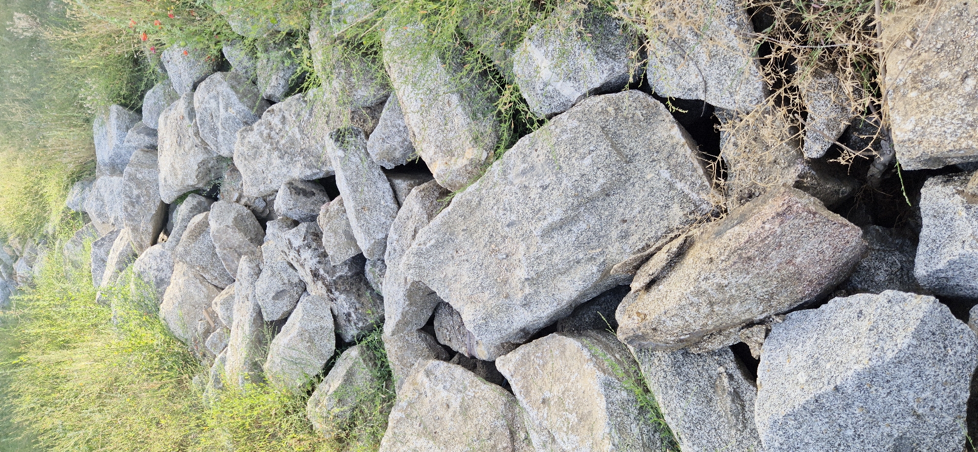 A trail of rough, grey rocks leads into the distance, flanked by tall, green grass. The rocks vary in size and shape, with some appearing quite large and others smaller, creating a textured and uneven path. Sunlight illuminates the scene, casting shadows among the stones and highlighting the growth of the vegetation. The overall impression is one of a natural, outdoor environment, possibly a park or a rural setting.