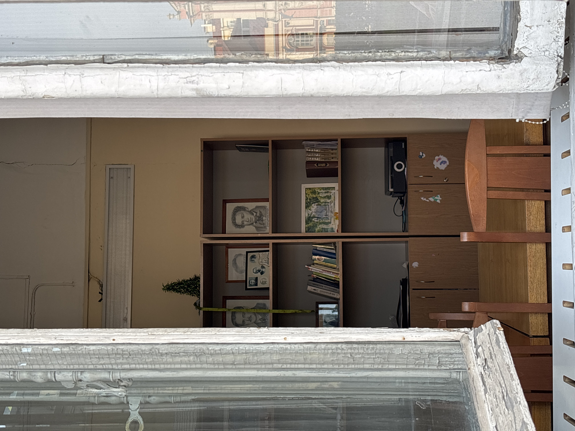 The image shows a view from inside a building, looking out through a window. The window frame is painted white with peeling paint. A building's reflection is visible in the upper part of the window. The view beyond the window includes the interior of another room. This room has a bookshelf containing books, framed pictures (including portraits), and decorative items. A green Christmas tree is on the left side of the bookshelf. A wooden chair is also present. The location is Saint Petersburg, Russia, indicated by the portraits of prominent Russian figures in the bookshelf, most likely Pushkin.