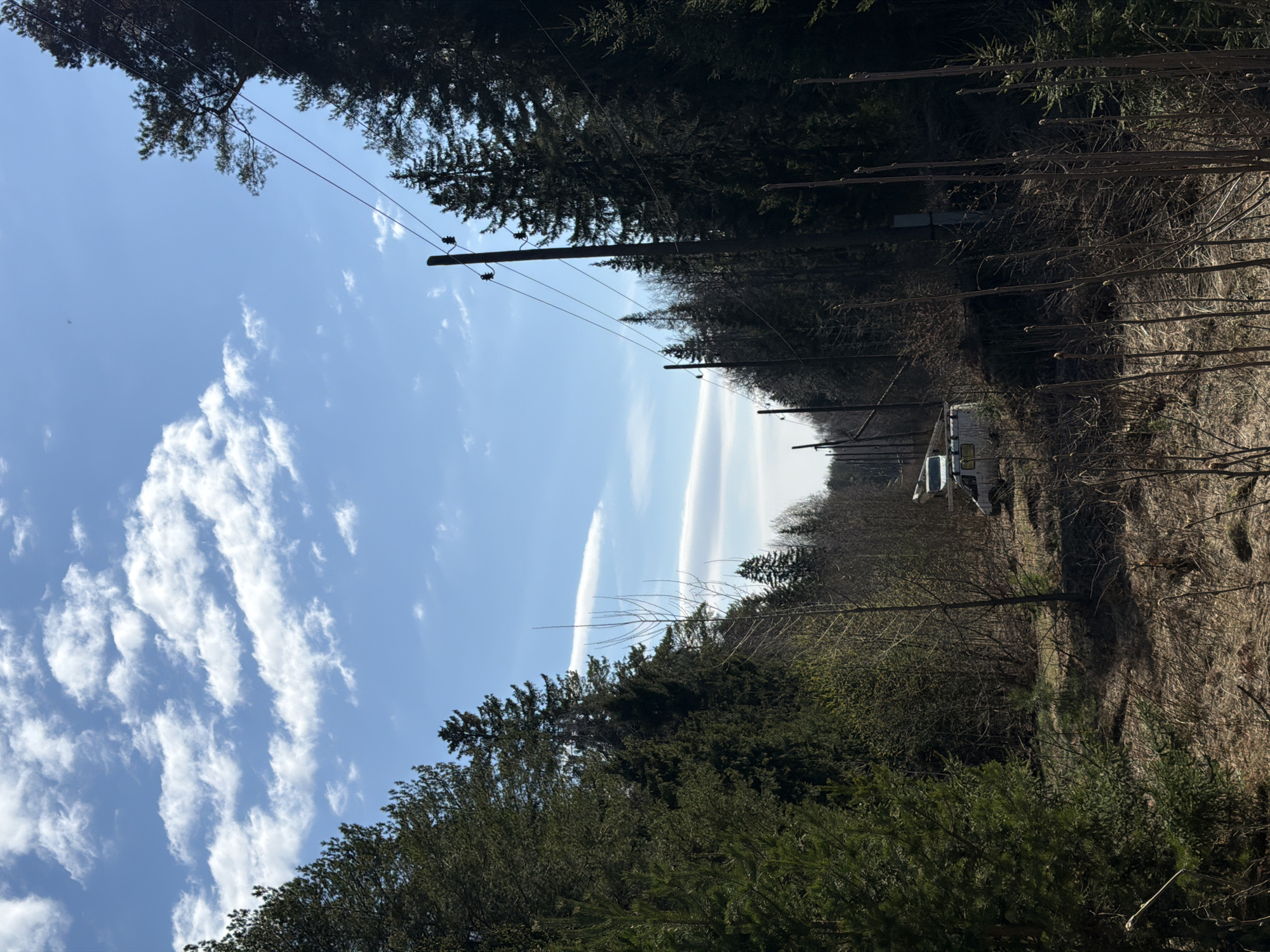 This landscape photograph, likely taken in Chaikovsky, Russia, captures a forested area under a bright, partly cloudy sky. The scene is oriented vertically, showing the horizon stretching across the middle of the frame.
The sky is a vivid blue, populated by scattered, elongated white clouds, possibly cirrus or altocumulus. Two distinct, parallel cloud formations or contrails are visible in the upper-middle section of the sky.
Dense evergreen trees, resembling pines or firs, line both sides of what appears to be a path or unpaved road receding into the distance. Several wooden utility poles with power lines extend alongside this route, providing a man-made element within the natural setting. On the right side of the path, the ground cover consists of dry, brownish grasses and sparse, bare shrubs or young trees.
A white van or small truck is parked or stopped on the right side of the path, partially obscured by the foreground vegetation. No individuals are visible in the photograph. The bright illumination suggests it is daytime, likely midday, with fair weather conditions. The overall atmosphere is quiet and serene, depicting a rural or semi-rural environment. There is no visible text in the image.