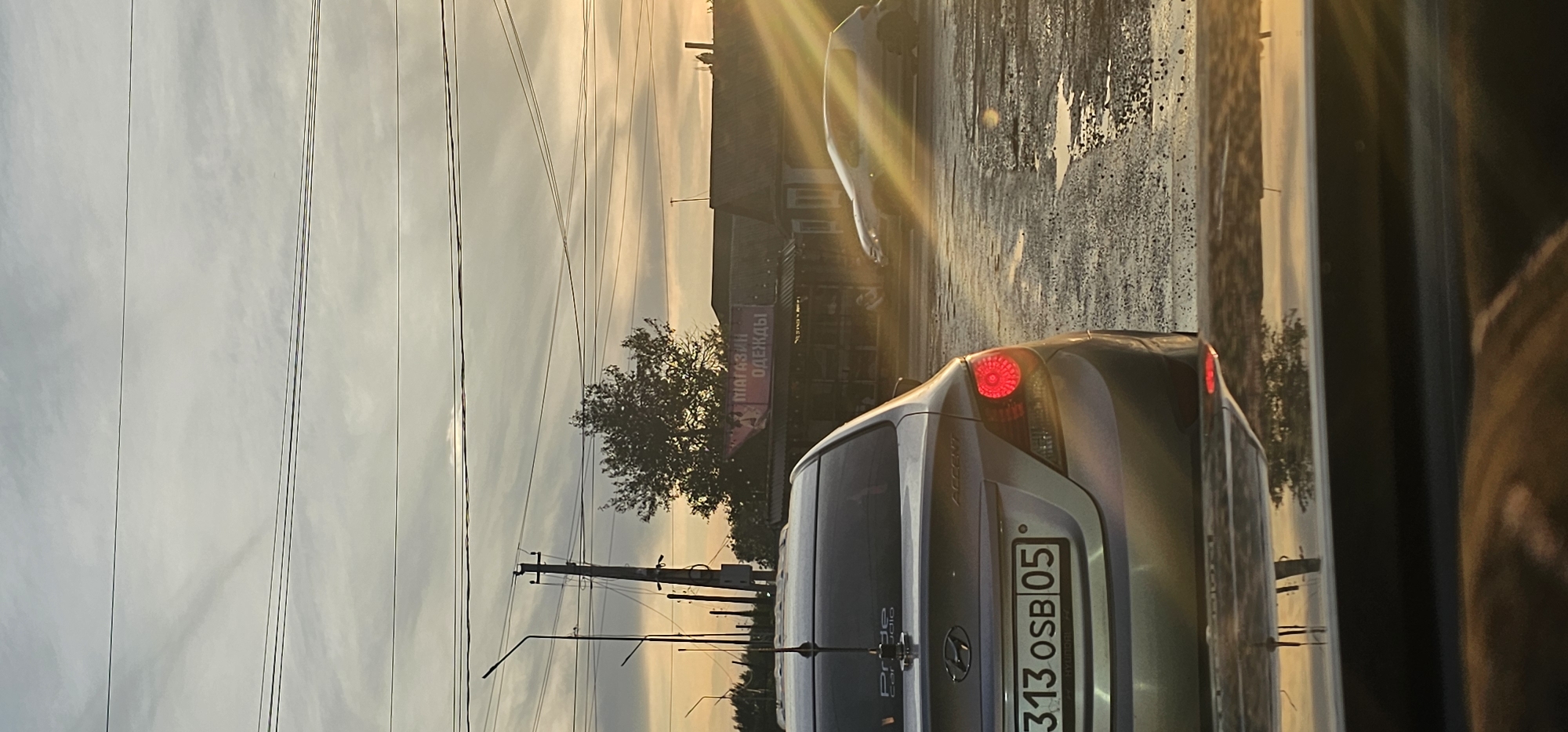 The image captures a street scene at dusk in Zhambyl, Kazakhstan, characterized by a soft, diffused light and a cloudy sky. In the foreground, the rear of a silver Hyundai Accent is visible, its taillight illuminated. The car's license plate reads "313 OSB 05". The street surface appears wet and reflective, with puddles indicating recent rain or a damp environment.
Across the street, a building with a banner displaying Russian text, "МАГАЗИН ОДЕЖДЫ" (Clothing Store), is partially visible. A solitary tree stands in front of the building, silhouetted against the sky. Another car, a light-colored hatchback, is parked or driving on the opposite side of the road. Overhead, power lines crisscross the frame. The overall atmosphere suggests a quiet evening on a typical urban street.