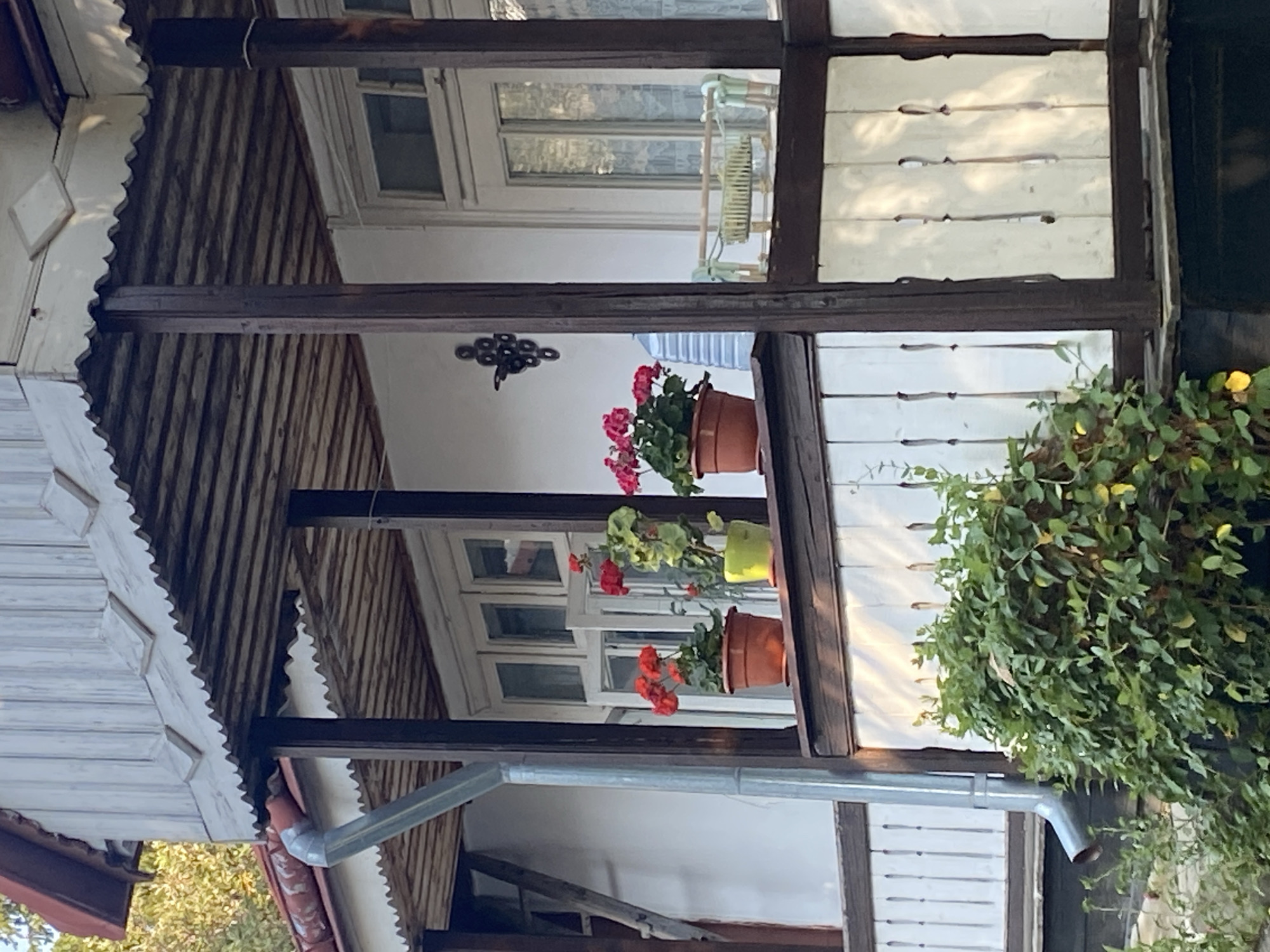 The image shows a section of a weathered, two-story house with a covered porch. The porch roof is supported by dark wooden posts and features a slatted wooden ceiling. The house exterior is white with dark trim around the windows and porch railings. A grey downspout runs vertically down the side of the house. On the porch railing, three potted plants are visible: two with red flowers and one with green leaves and a few red blossoms. Behind the plants, a large blue plastic water jug and a small wooden rack with a brush are present. The porch railing is made of white vertical wooden slats. In the foreground, a dense green bush with some yellow flowers partially obscures the lower portion of the porch. The scene appears to be in Târgu Neamț, Romania.
