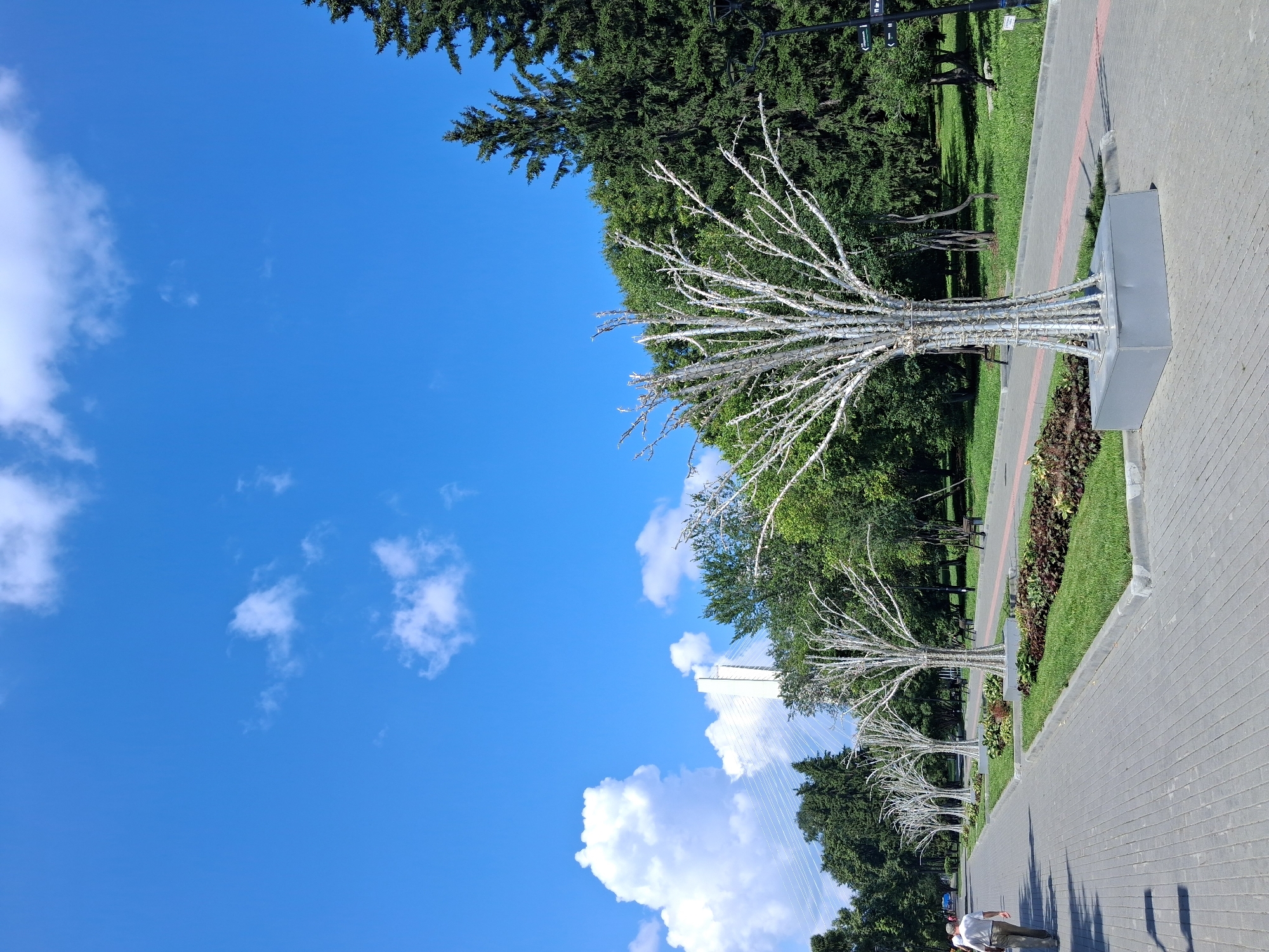 The image shows a paved pathway in a park with a row of decorative, white, leafless trees lining one side. The trees are illuminated with lights. In the background, there are lush green trees and a large bridge structure. The sky is blue with scattered white clouds. A person is walking away from the camera on the pathway. The location is the embankment of the Ob River in Novosibirsk, Russia, near the Bugrinsky Bridge.