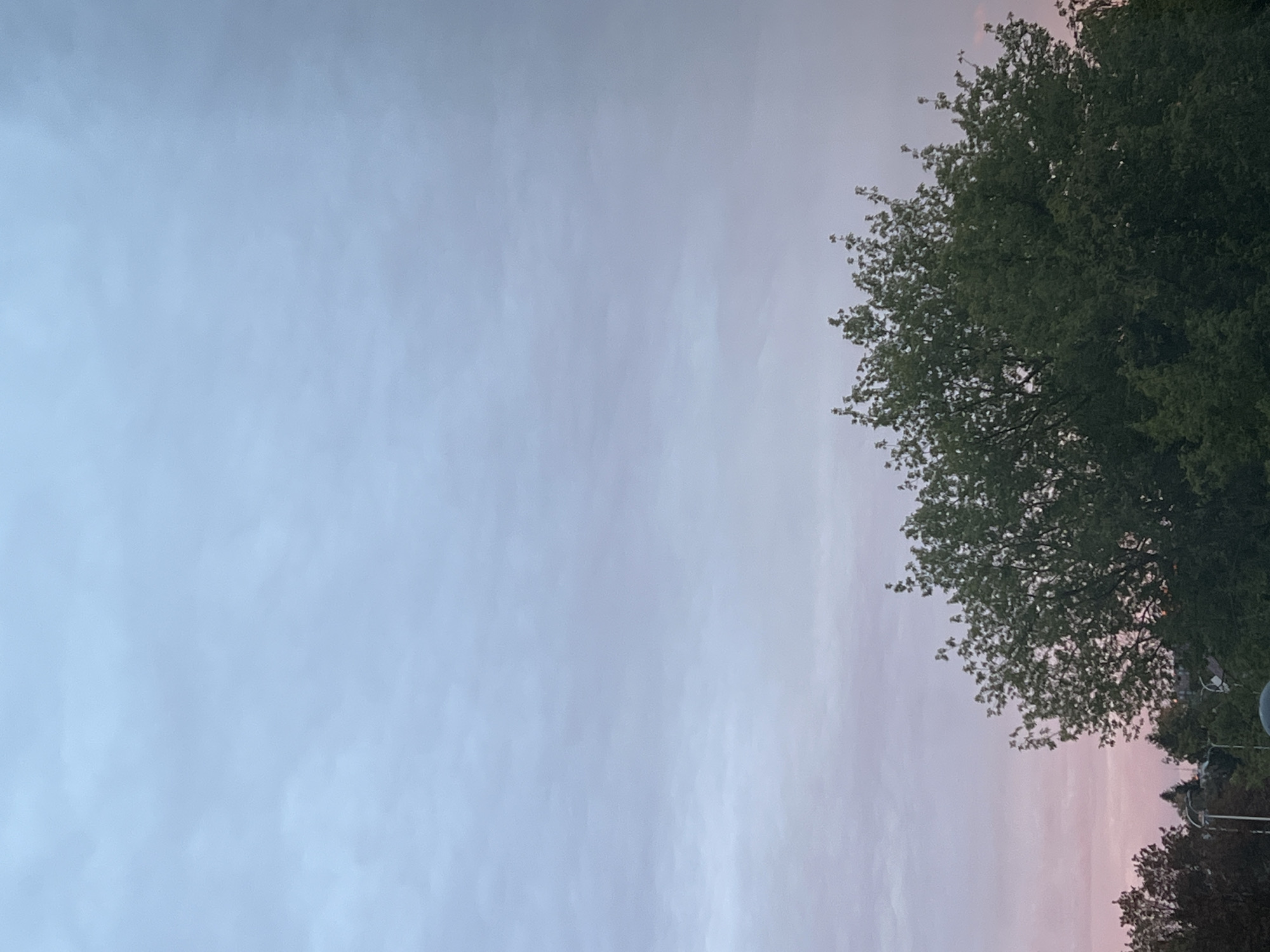 The image depicts a sky with soft, muted colors, transitioning from a pale blue at the top to hints of pink near the horizon. A dense canopy of green trees dominates the lower portion of the frame, with some darker trees on the left and a street light visible amongst them. The overall impression is of a peaceful, possibly evening or early morning scene. Without further information or context, it is impossible to determine the specific location in Warsaw, Poland.