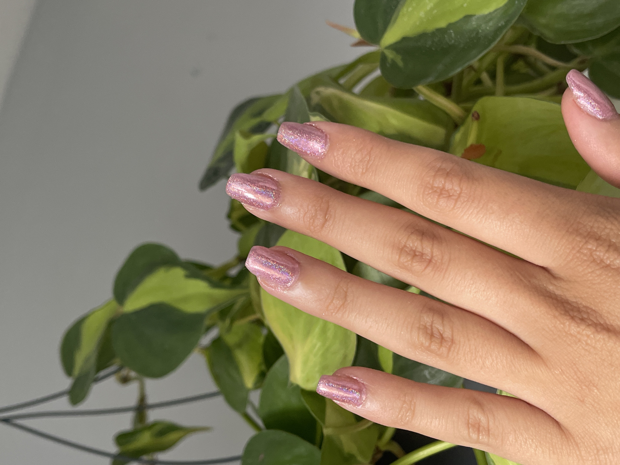 A hand with pink, glittery nail polish is displayed in the foreground. The background features a plant with variegated green leaves, positioned against a grey wall. The location, Maidstone, UK, is not verifiable from the image content.