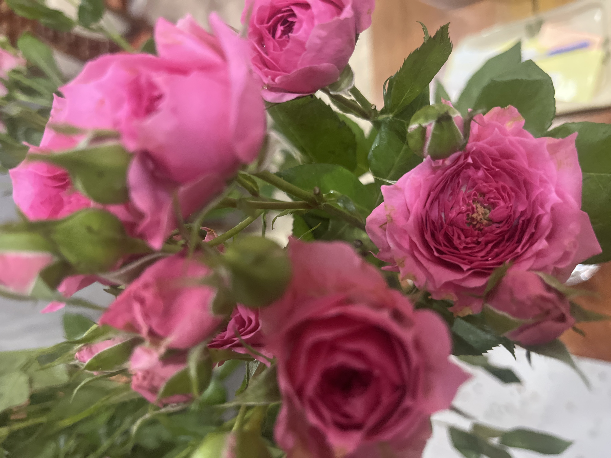 The image shows a close-up of a bouquet of pink roses and green buds. The roses are in various stages of bloom, with some fully open and others still tightly furled. The petals are a vibrant shade of pink, with some darker tones in the center of the open flowers. Green leaves and stems are visible, creating a natural and organic feel. The background is out of focus, but appears to be a light-colored surface, possibly a tablecloth or a wall. The lighting is soft and natural, highlighting the delicate beauty of the flowers. There are no people or animals present in the image. The image does not contain any specific indicators to suggest its location within Nha Trang Ward, Vietnam.