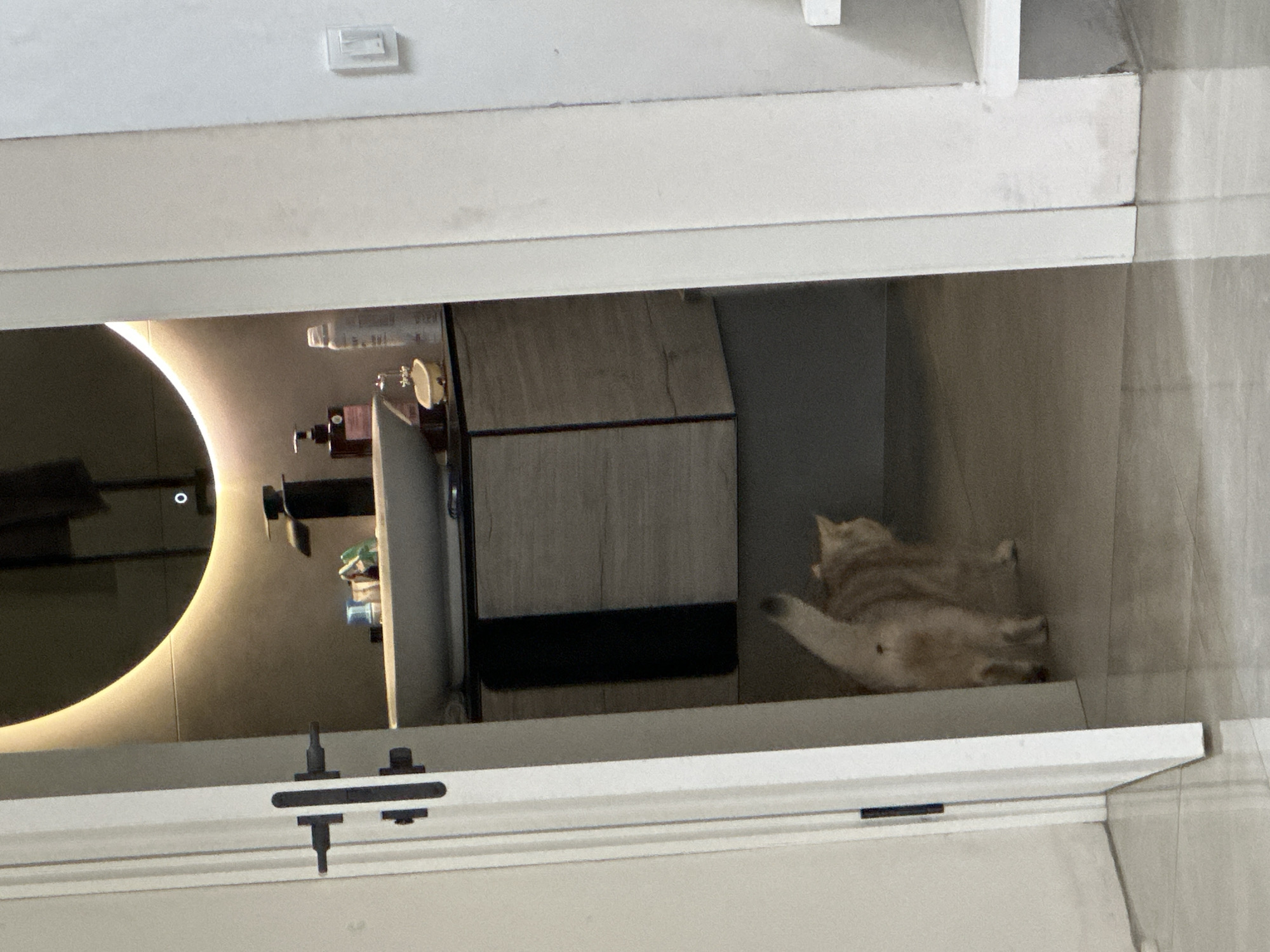 A cat is lying in a shelf under a bathroom sink. The shelf is open and shows a mirrored cabinet. The environment is domestic, likely a home bathroom.